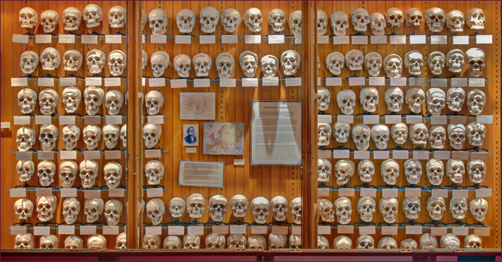 Mutter-Museum.jpg