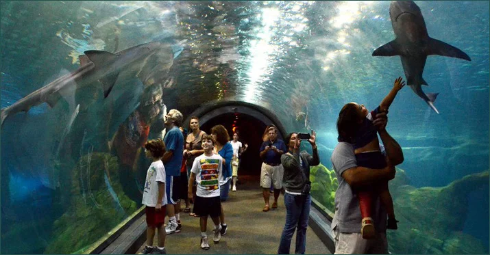 Adventure-Aquarium.jpg