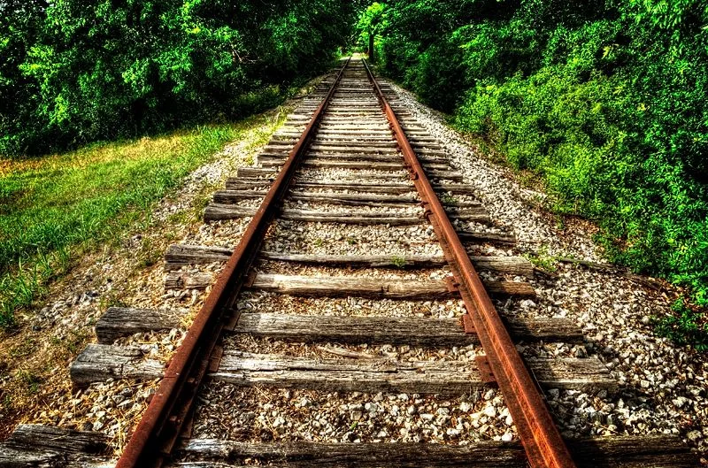 tunneltreestraintrack.jpg