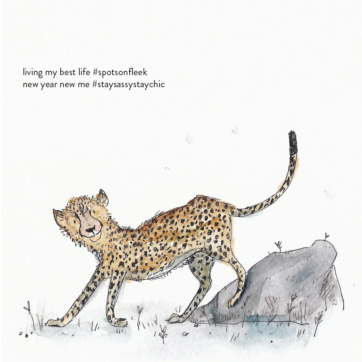 Cheetah.jpg