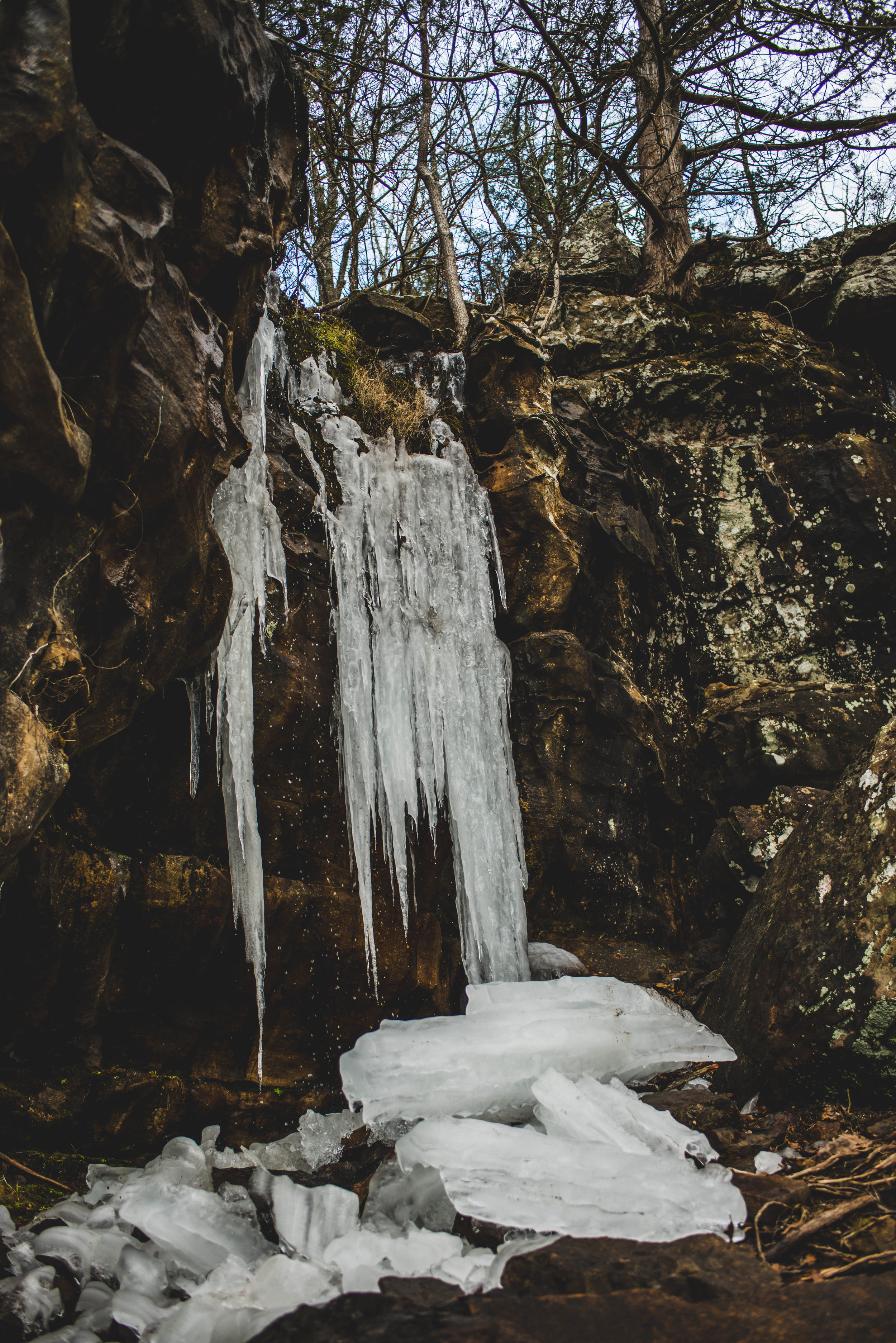 20180120-ASH_7819.jpg