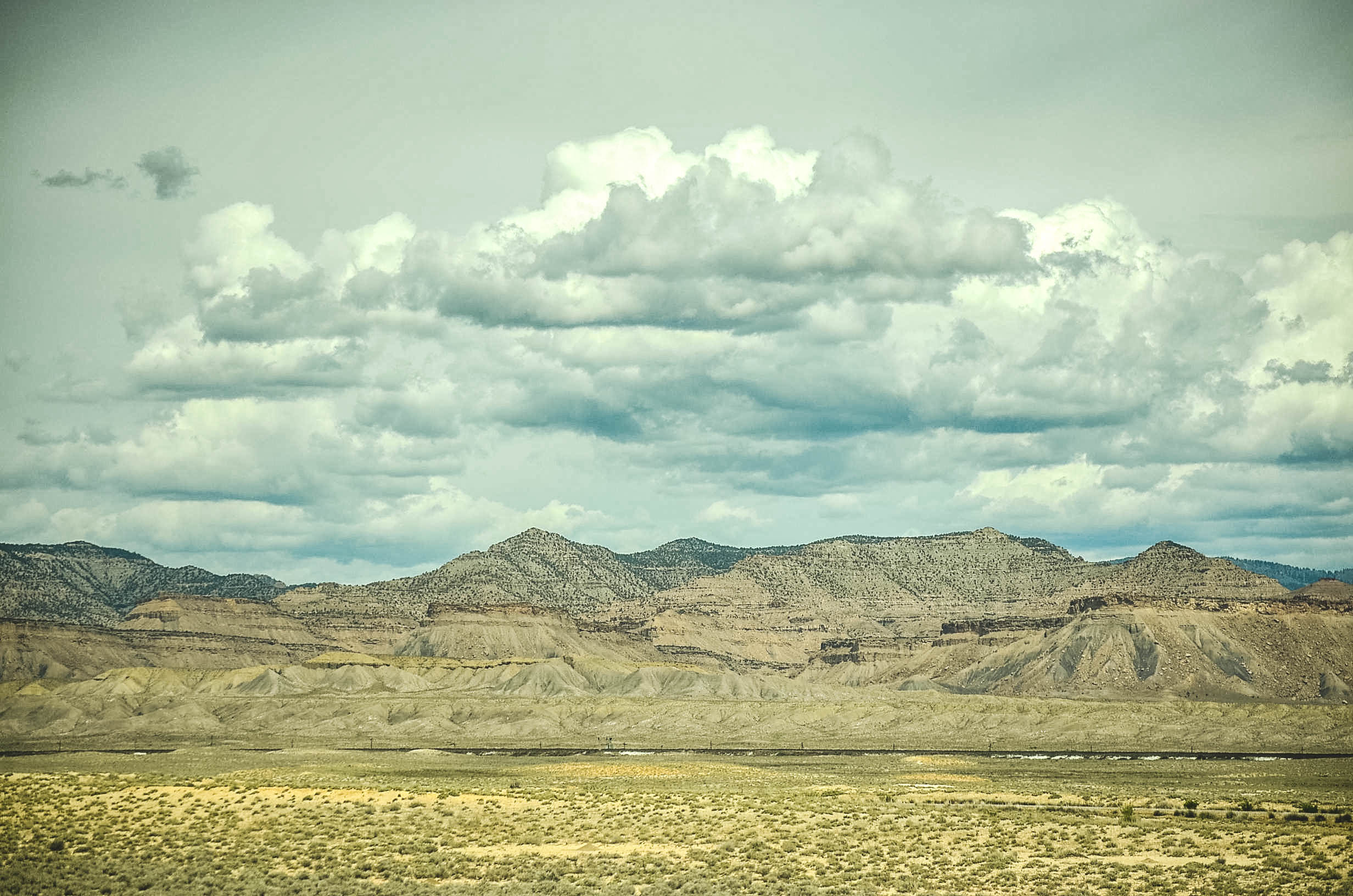 20150518-DSC_0505.jpg