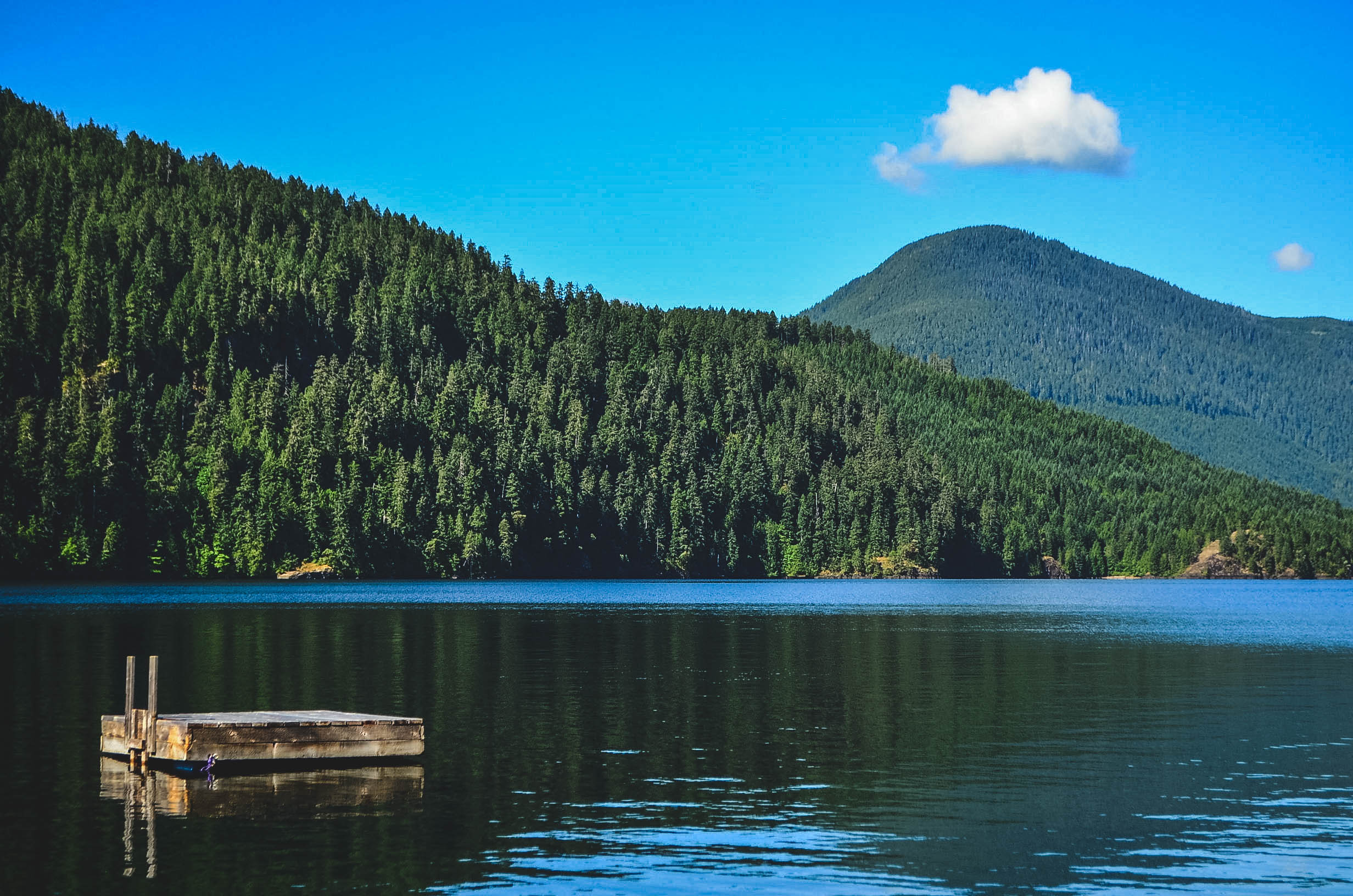 20150613-DSC_0057 2.jpg