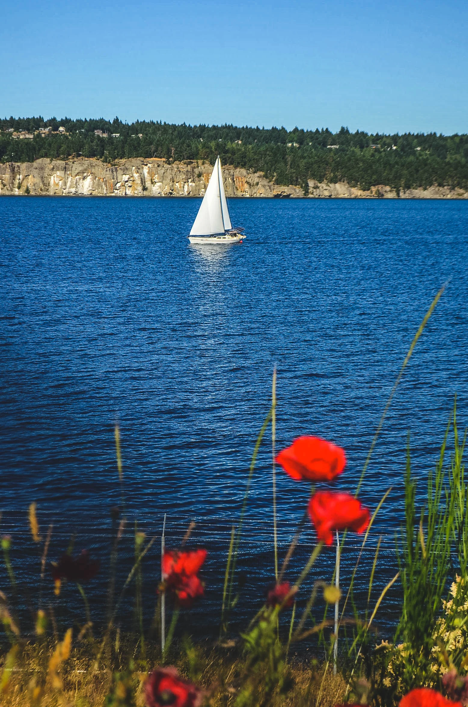 20150614-DSC_0192.jpg
