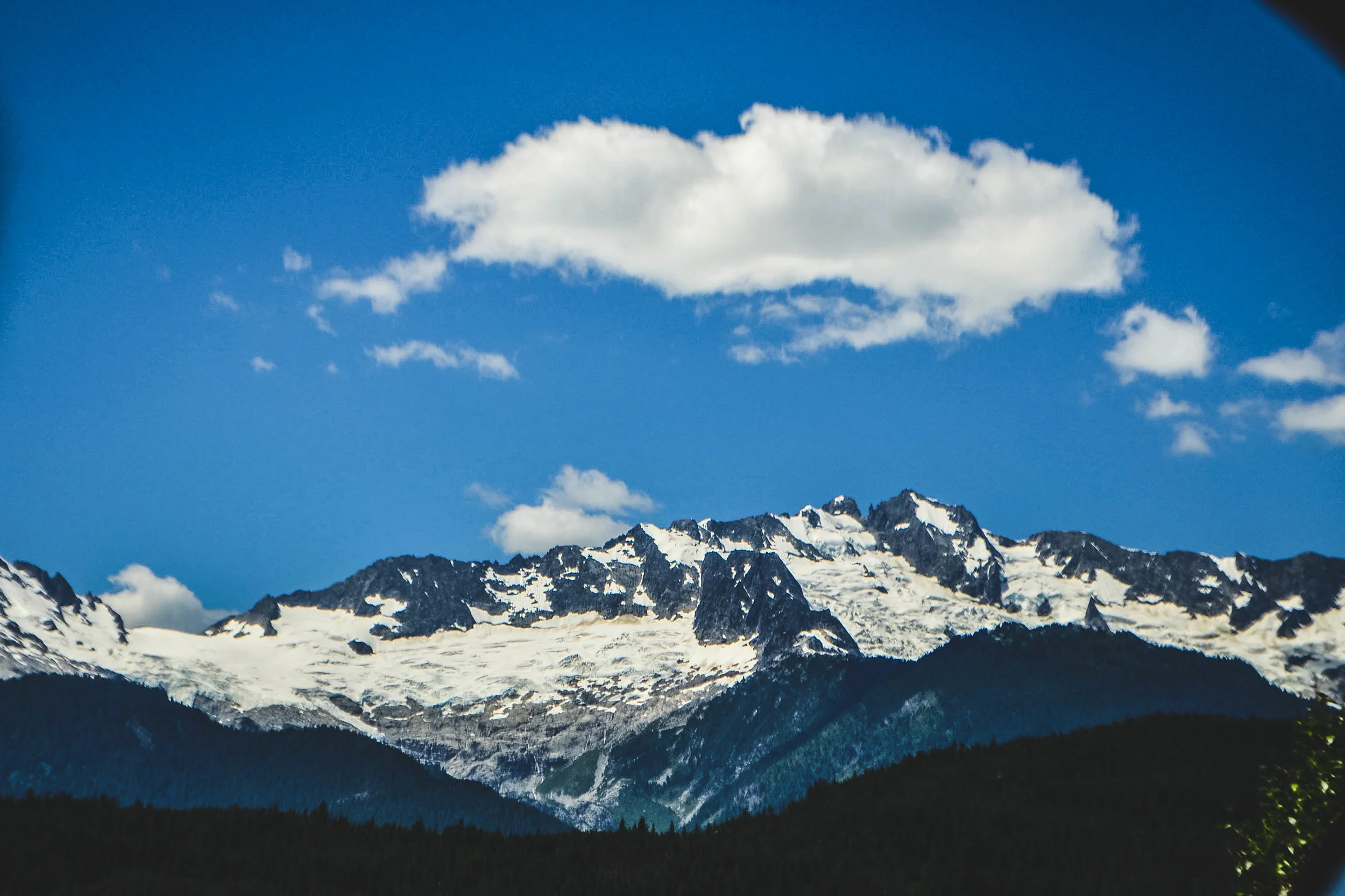 20150701-DSC_0111.jpg