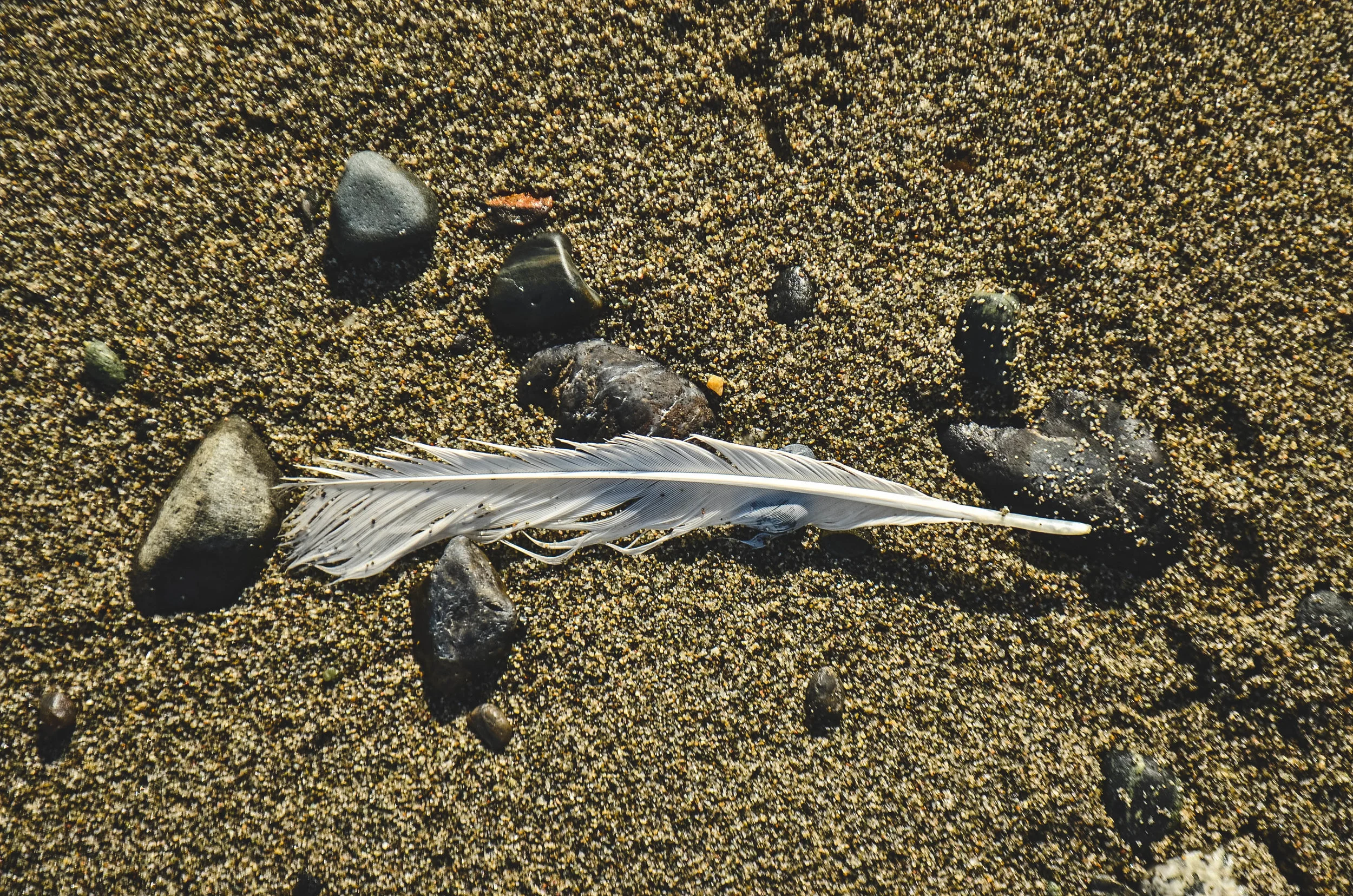 20150726-DSC_0086.jpg