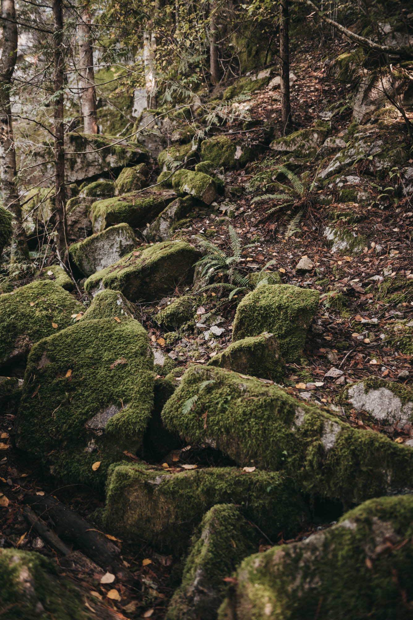 AST_8336-9.jpg