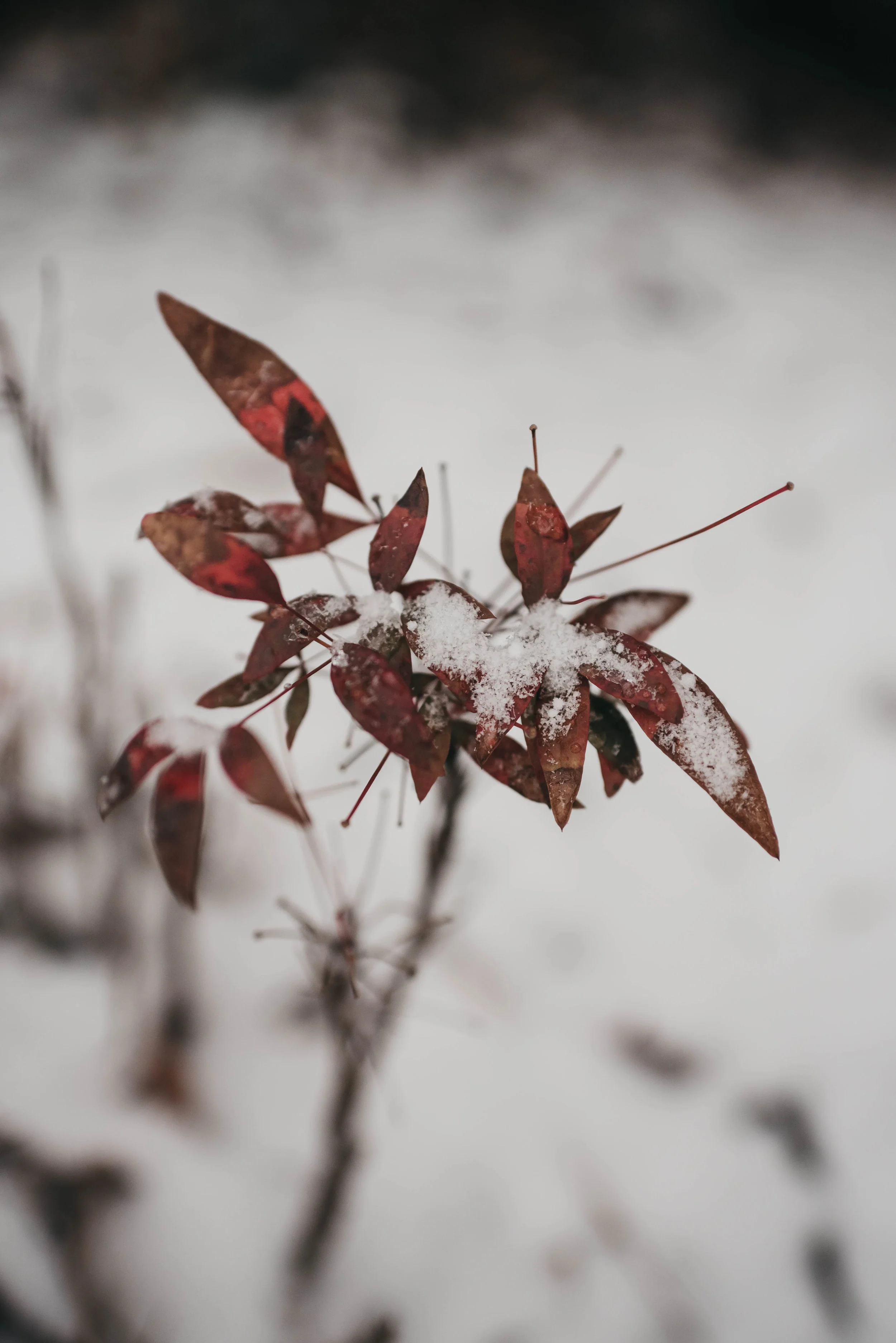 AST_8291-33.jpg