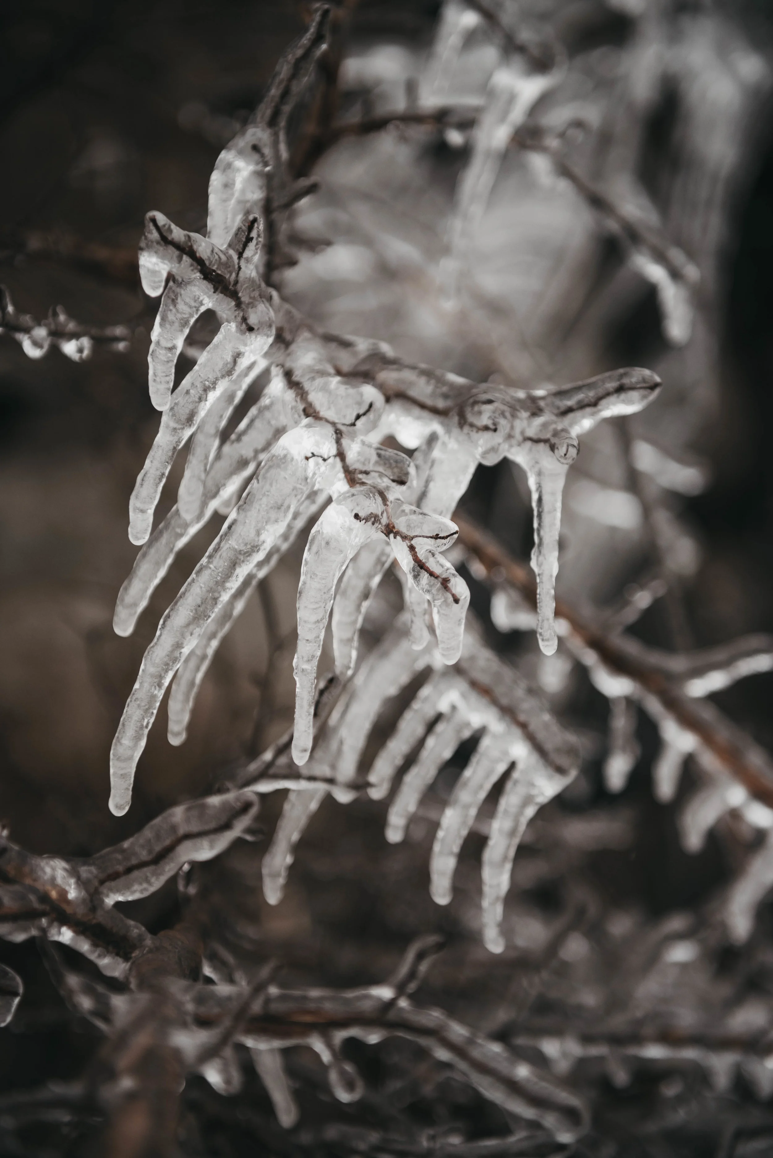 AST_8317-19.jpg