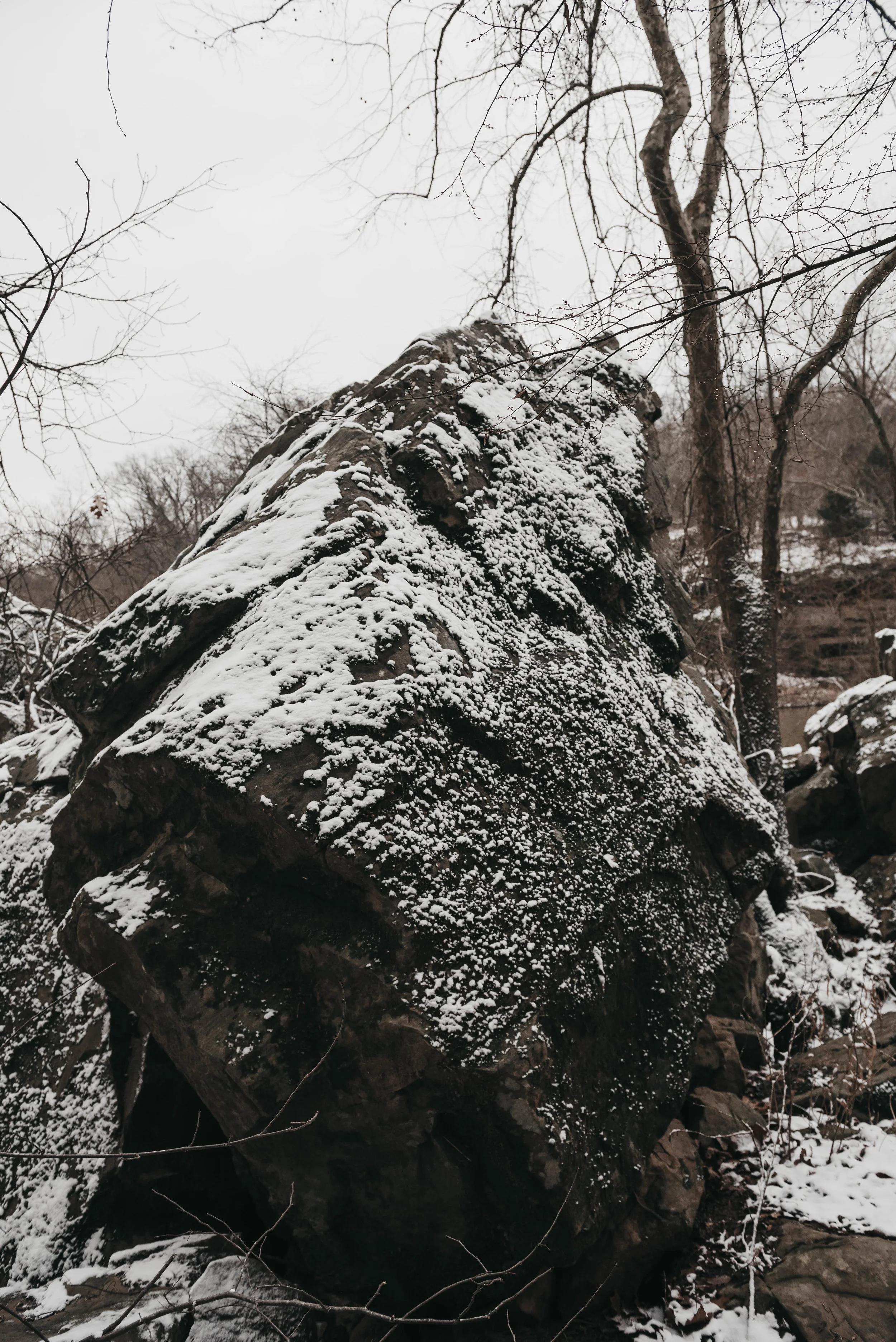 AST_8333-34.jpg