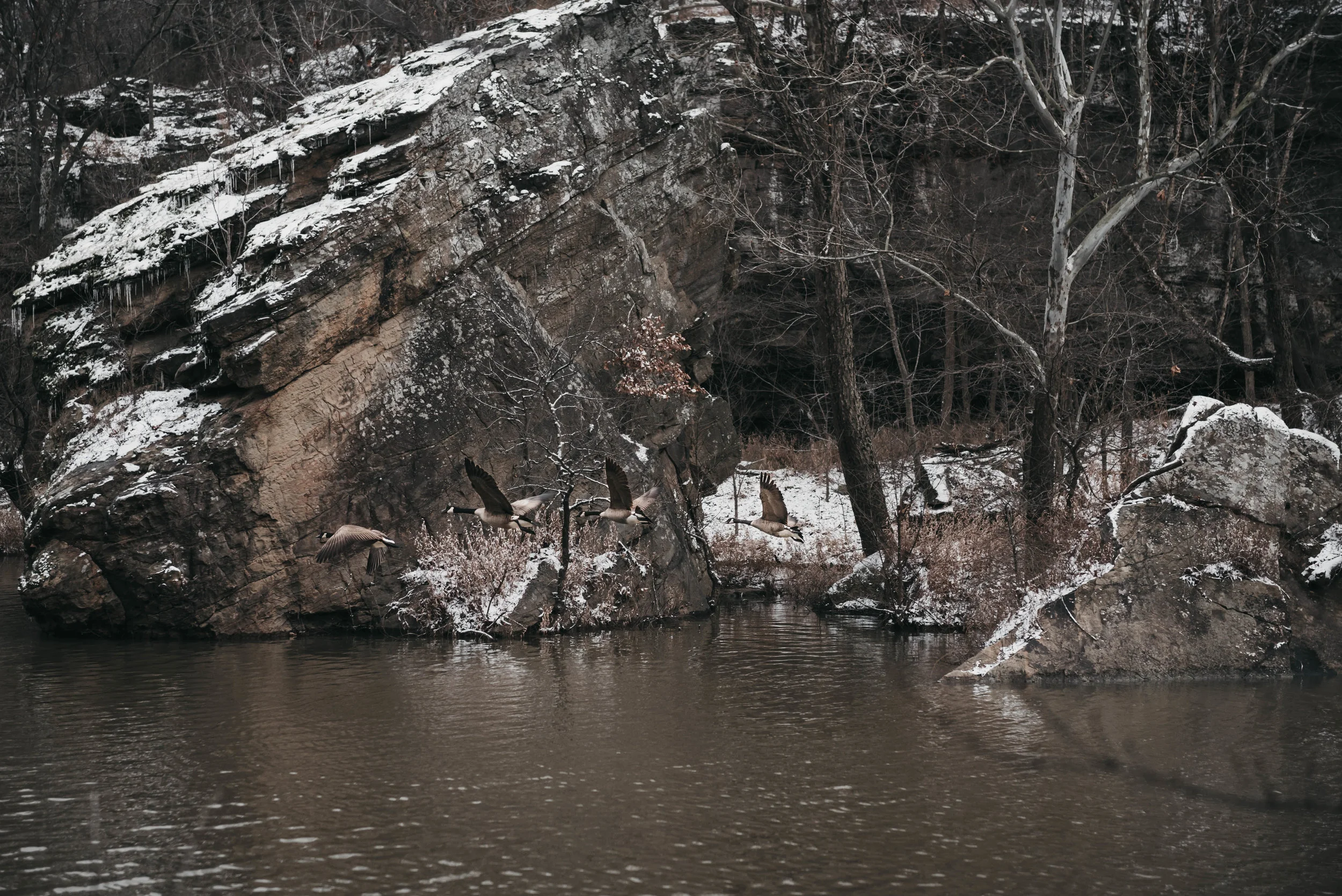 AST_8367-63.jpg