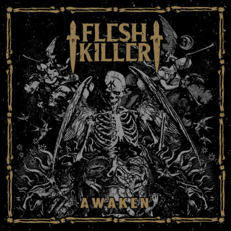 Fleshkiller_Cover-475x475.jpg