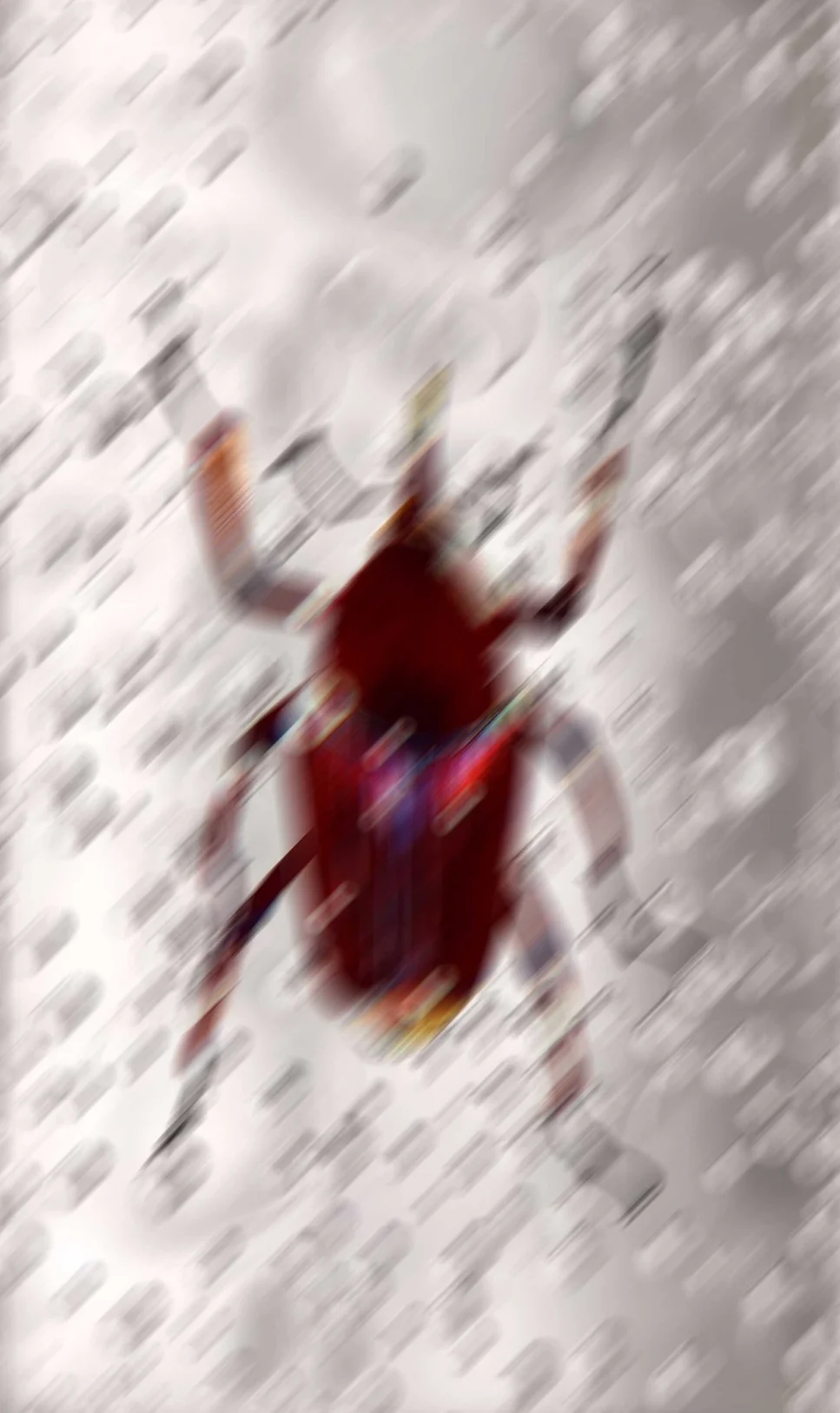 Beetle 2.jpg