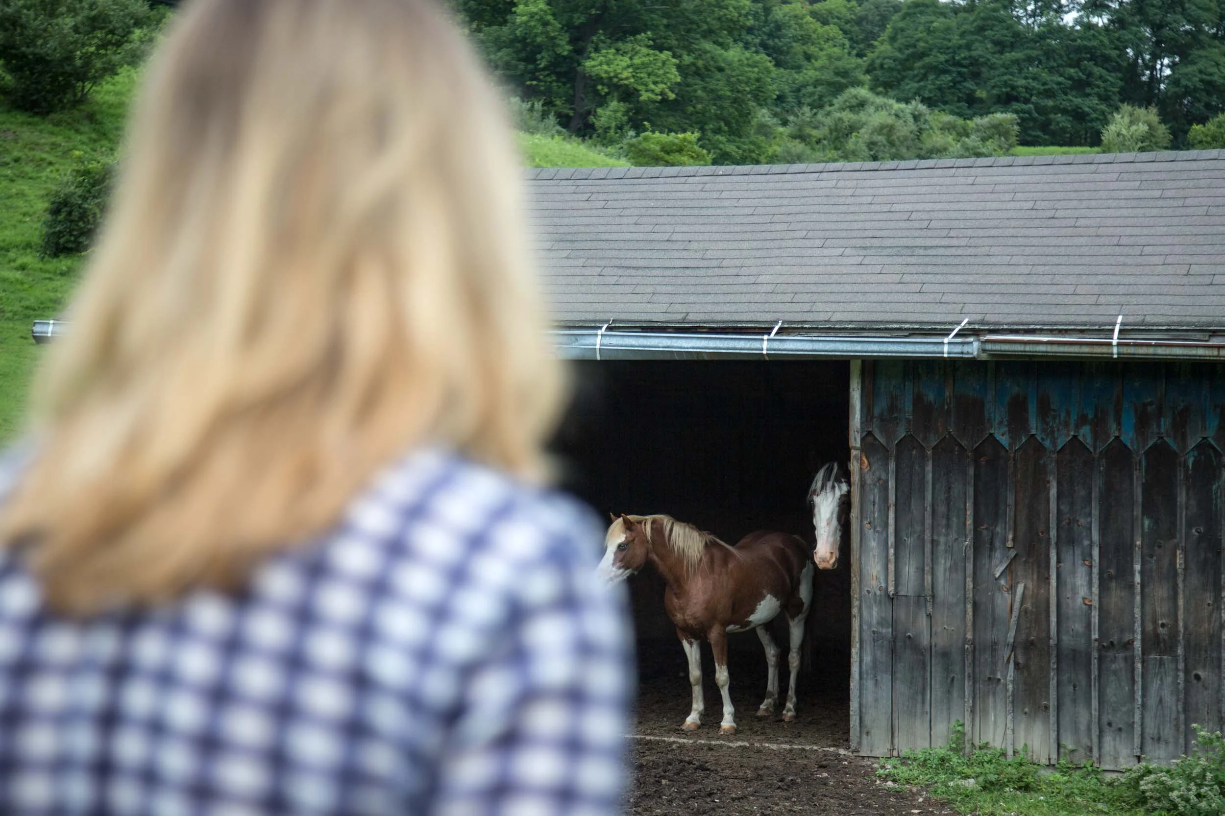 the-wassaic-project-board-jillian-dunham-2017-08-07-11-57-02.jpg