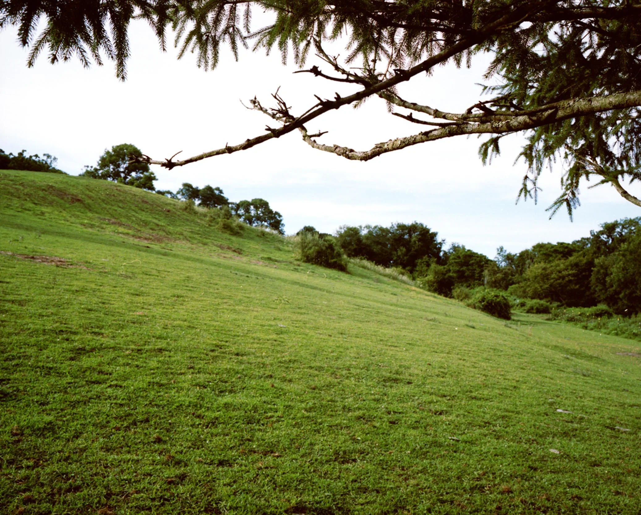 wassaic-project-location-wassaic-2012-08-23-14-52-34.jpg