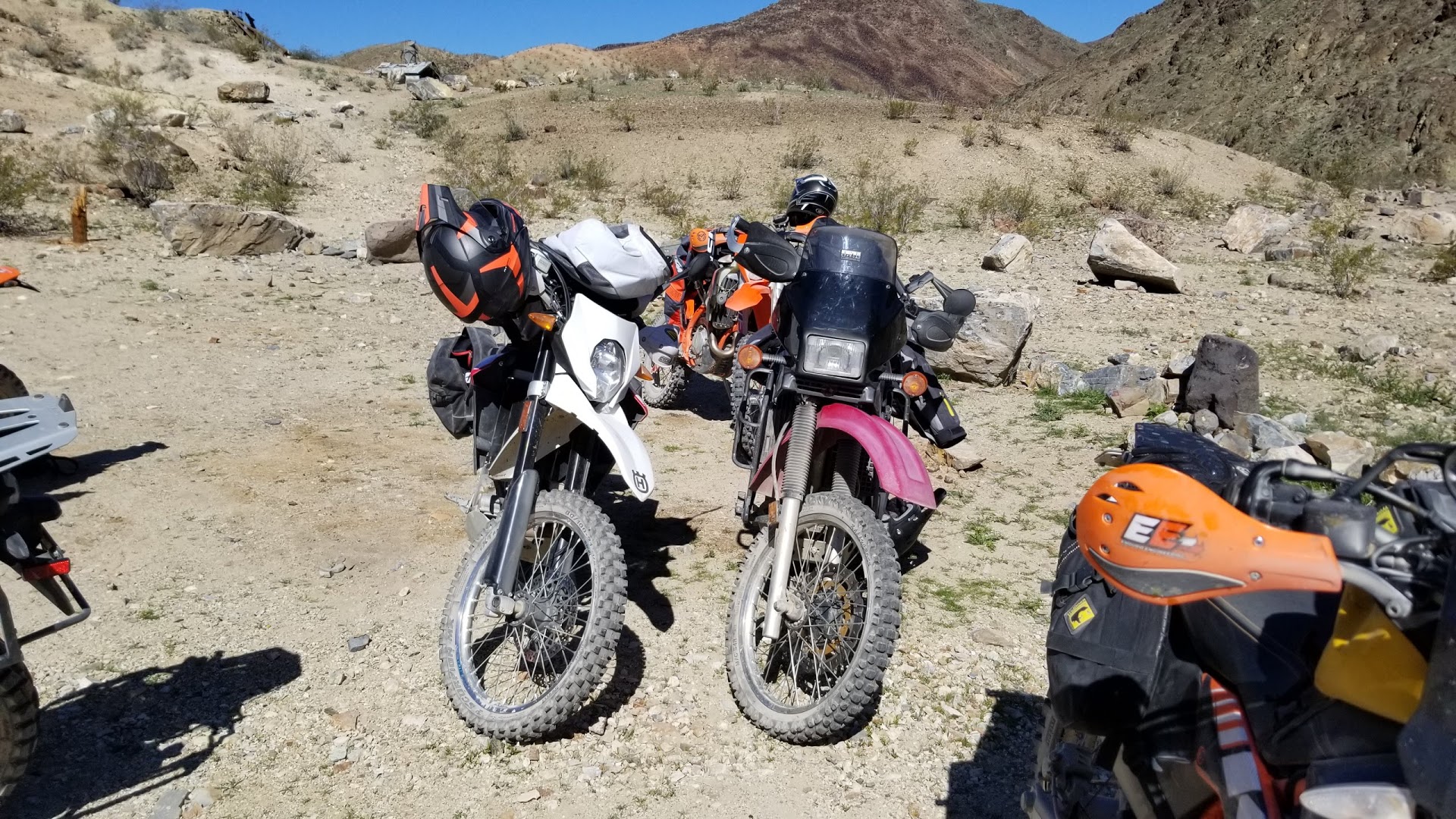 20190329_102923.jpg