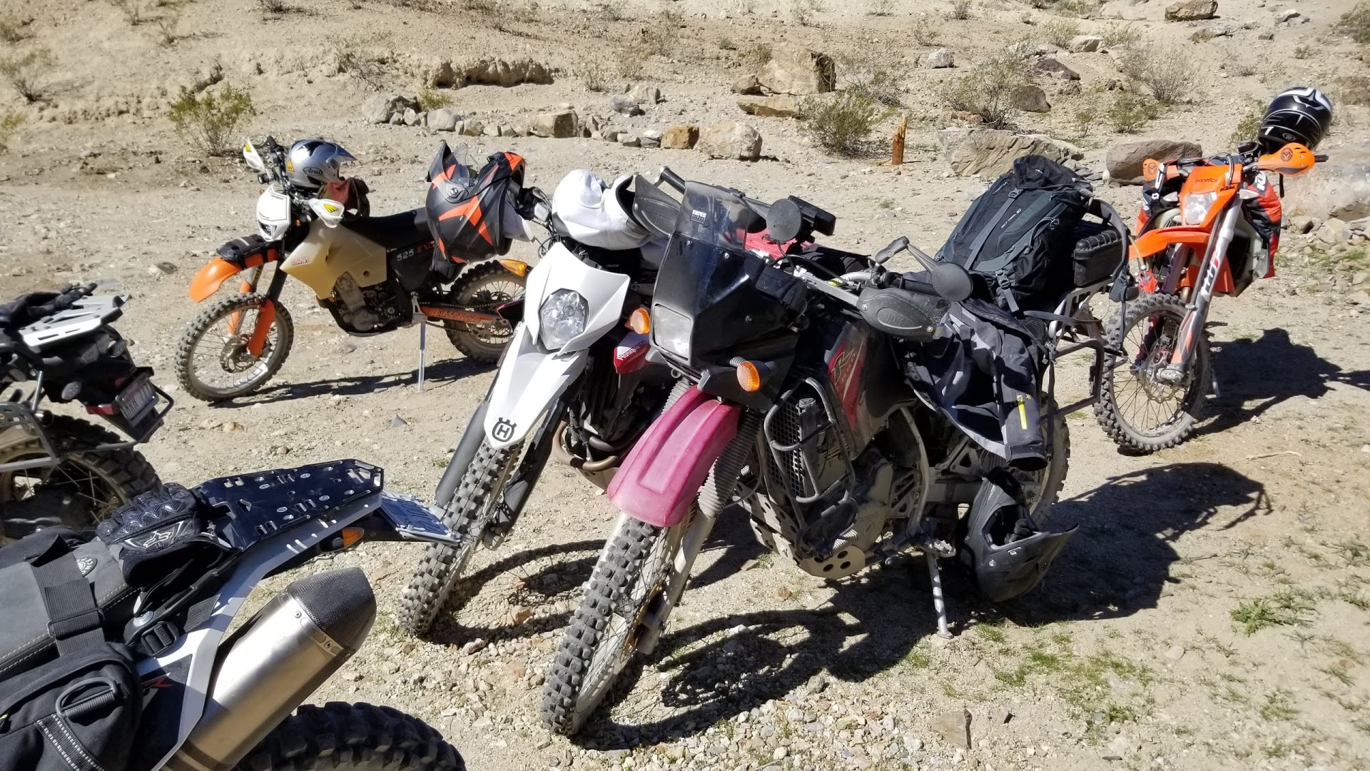 20190329_102933.jpg