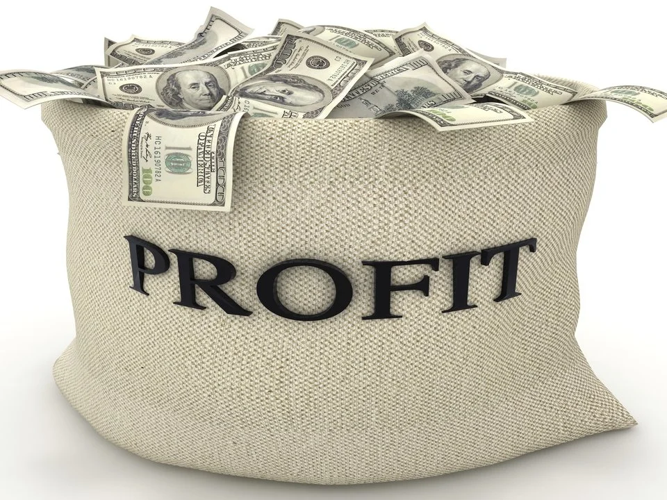 profit.jpg