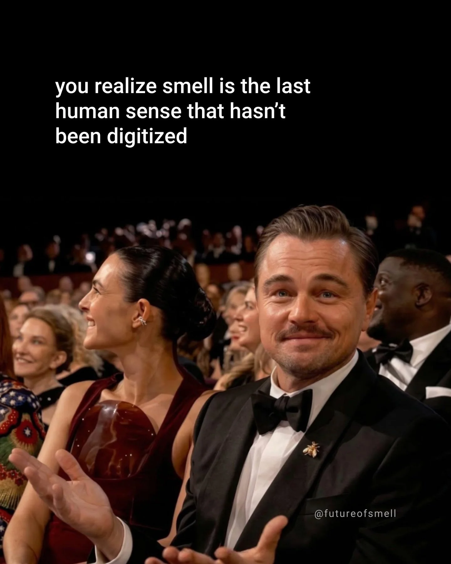 What am I missing ✨