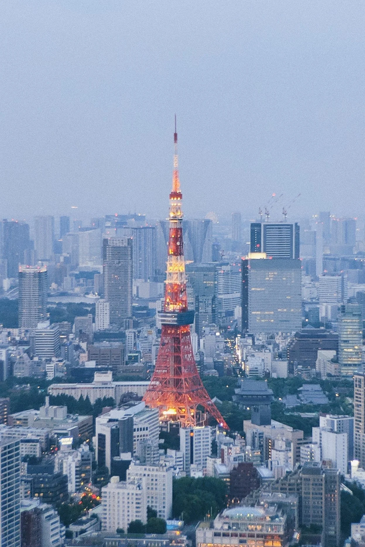 2019-06-15 12.47.00 1.jpg