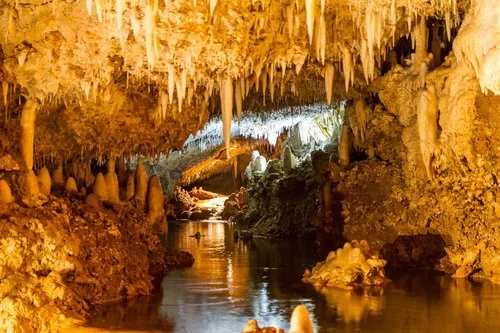 Harrisons-Cave-1024x683.jpg