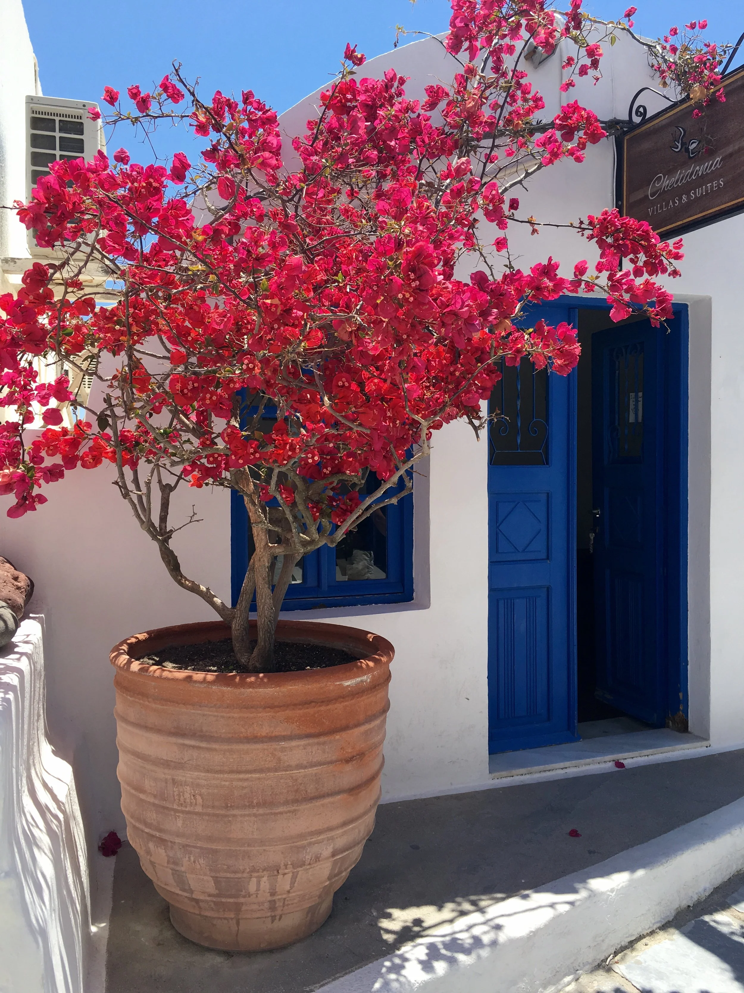 Must-Visit Destinations for Every Season