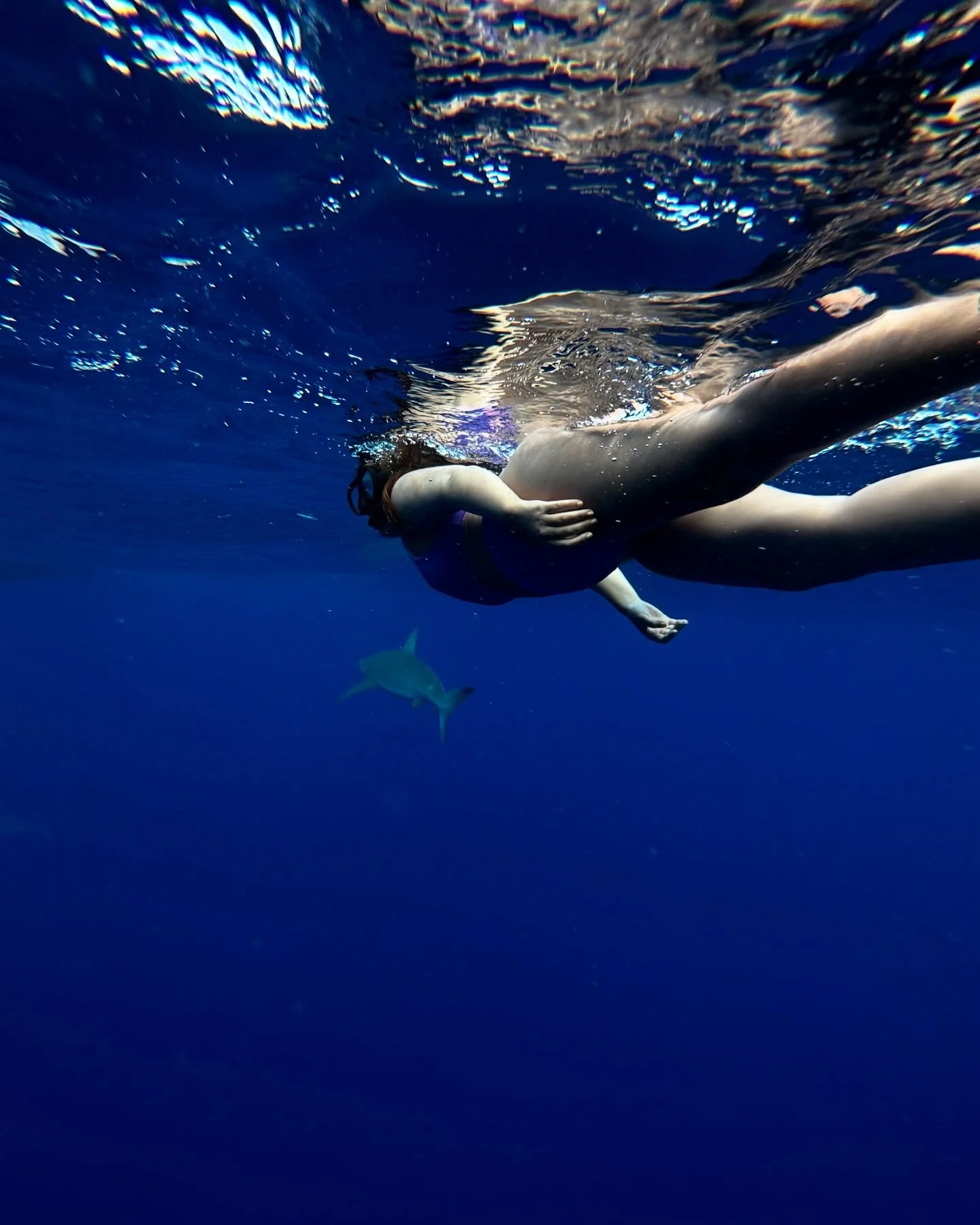 HAPPY SHARK WEEK TO ALL 🦈