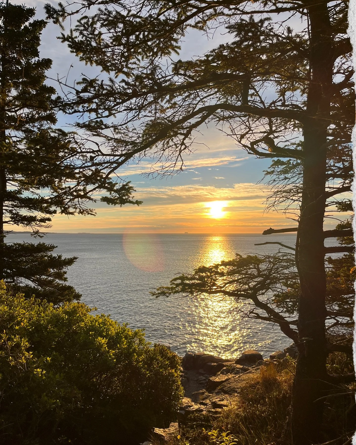 Did ya know? This first photo was *almost* the cover! I felt so decisive about everything internally, but choosing the first issue cover, the first impression(!), was so difficult and took me the longest to decide on. 

Making my personal digital scr