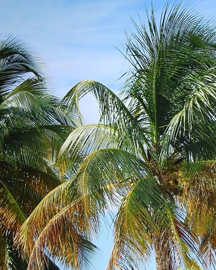 Was is coincidental that I included my trip to Puerto Rico in the latest issue of The Compass around the same time @badbunnypr crushed the SB halftime show?

I don&rsquo;t believe in coincidences, but catch my love letter to sailing the most beautifu