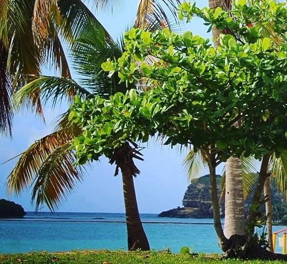 Was is coincidental that I included my trip to Puerto Rico in the latest issue of The Compass around the same time @badbunnypr crushed the SB halftime show?

I don&rsquo;t believe in coincidences, but catch my love letter to sailing the most beautifu