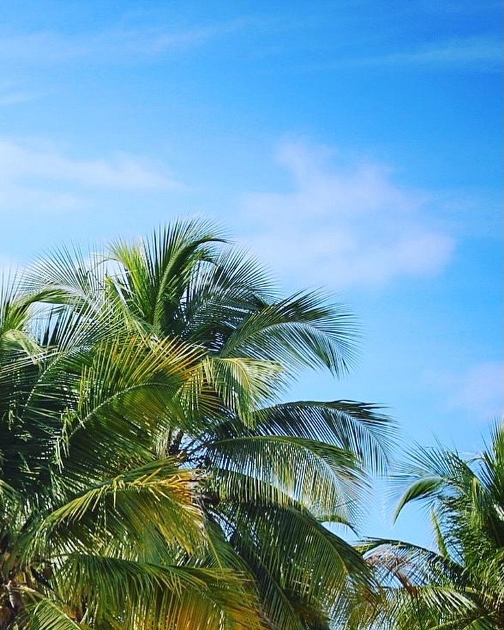 Was is coincidental that I included my trip to Puerto Rico in the latest issue of The Compass around the same time @badbunnypr crushed the SB halftime show?

I don&rsquo;t believe in coincidences, but catch my love letter to sailing the most beautifu