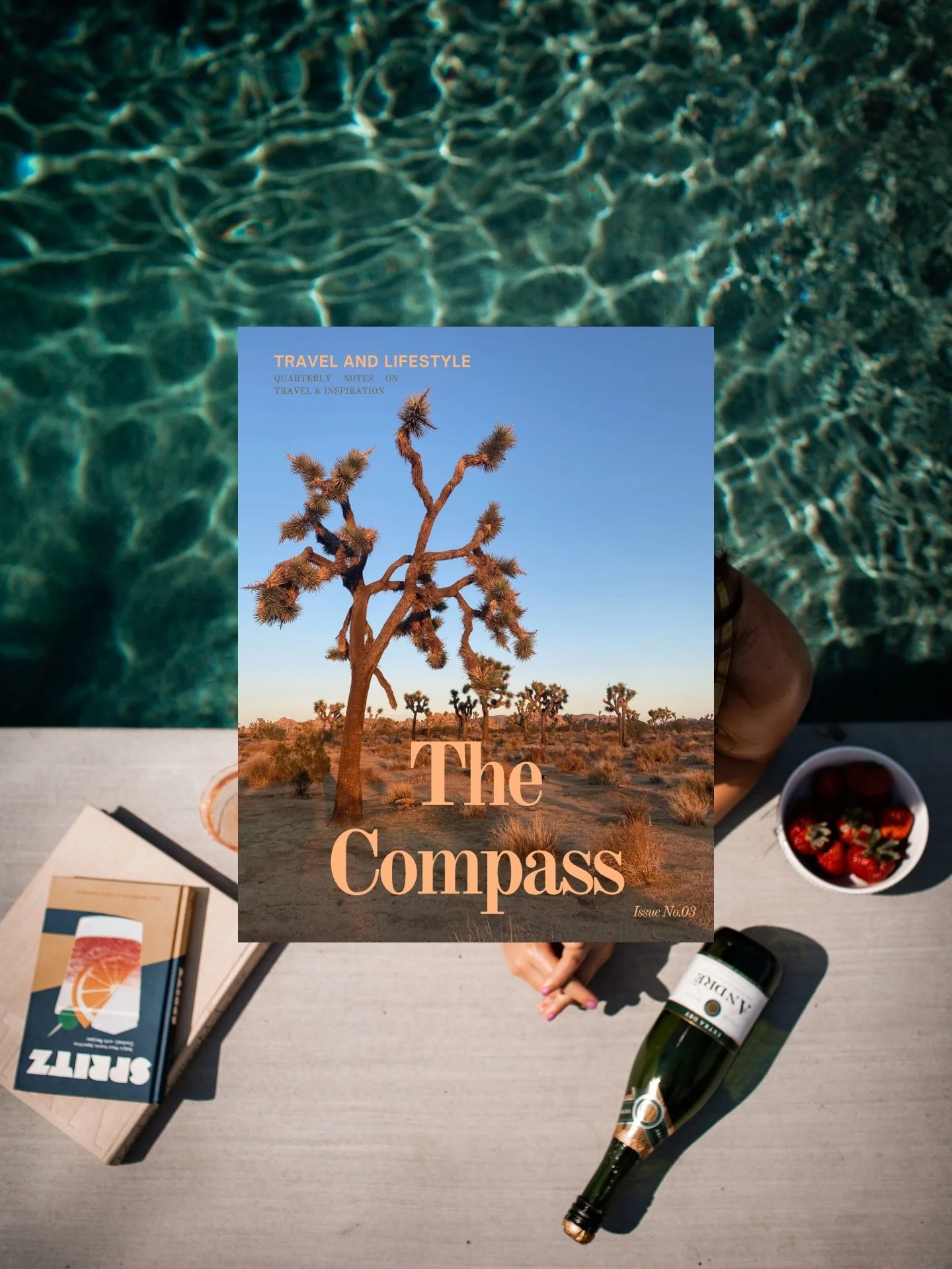 Pre-order is available NOW! 💫

Each issue is a love letter to destinations all over the world and this one was a favorite/extra sweet as I have the best memories in Joshua Tree and Palm Springs. Plus, I love the desert! And weird trees! And mid-cent