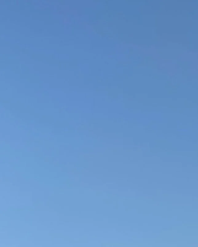 THE COMPASS: ISSUE 03 DROP!

🌵🌴🌼🥾🌞