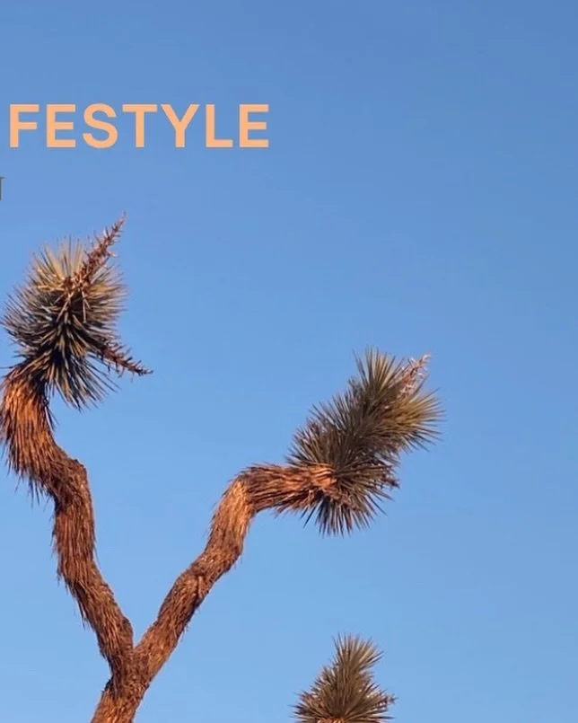 THE COMPASS: ISSUE 03 DROP!

🌵🌴🌼🥾🌞