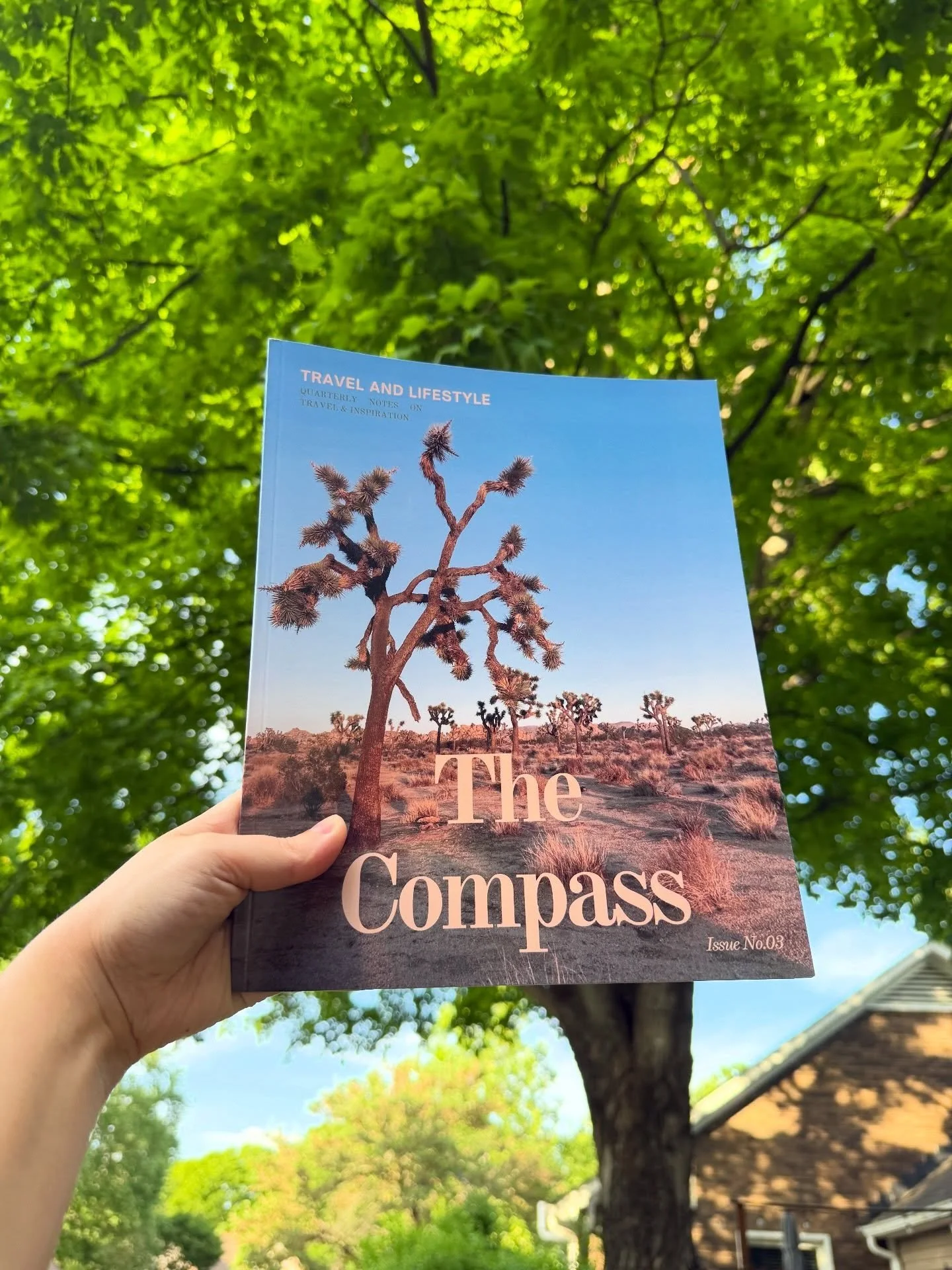 The Compass in your hands! Issue 03 available now 🌞