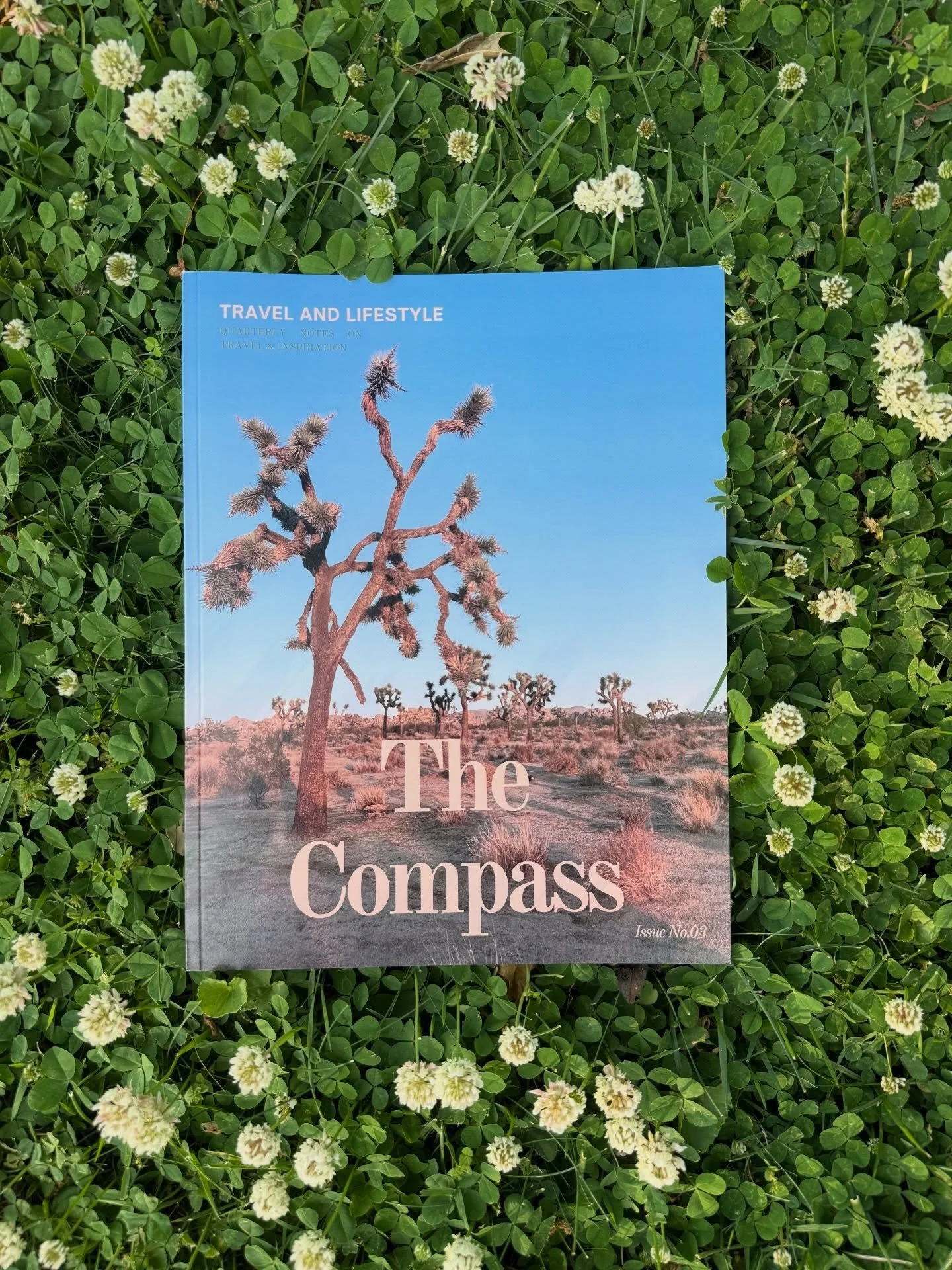 The Compass in your hands! Issue 03 available now 🌞