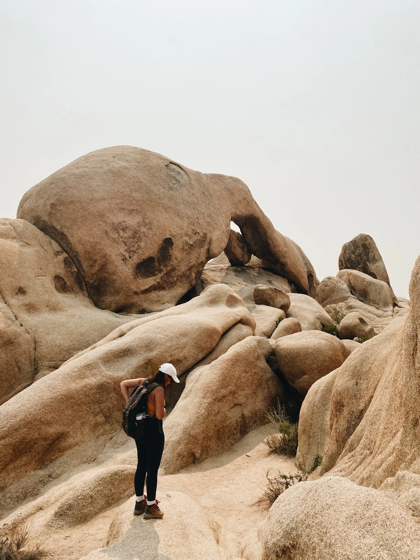 📍Arch Rock Trail, Joshua Tree National Park
September 2020