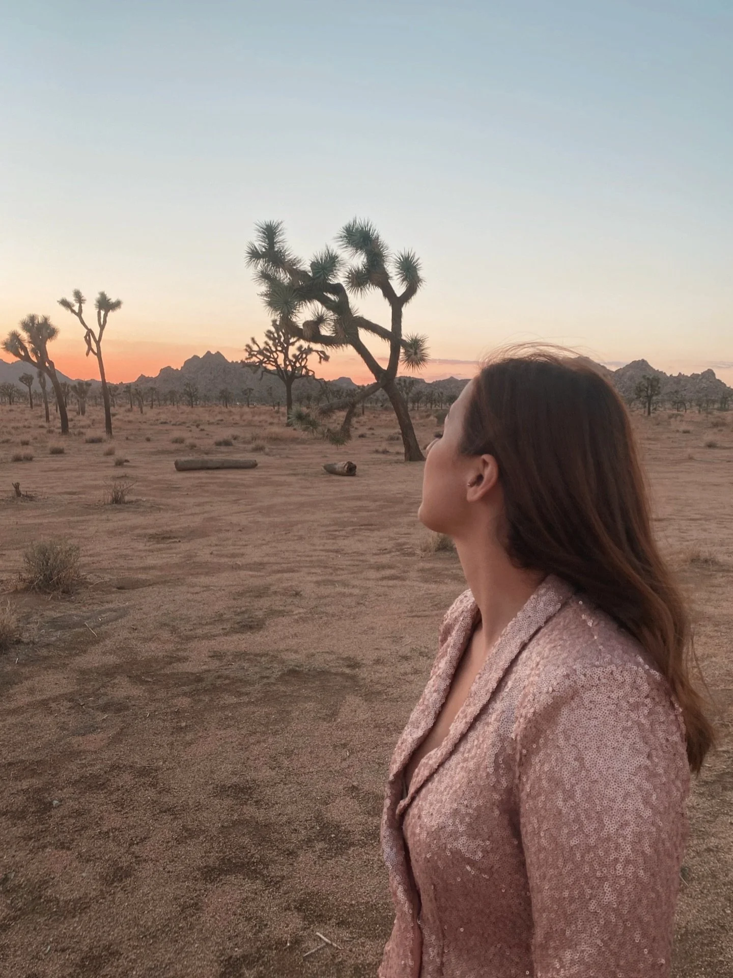 📍 Joshua Tree National Park
Sunset, August 2021