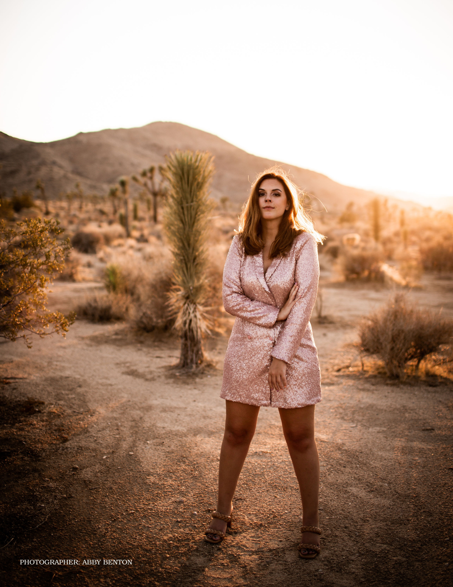 The Compass 03 (2).png