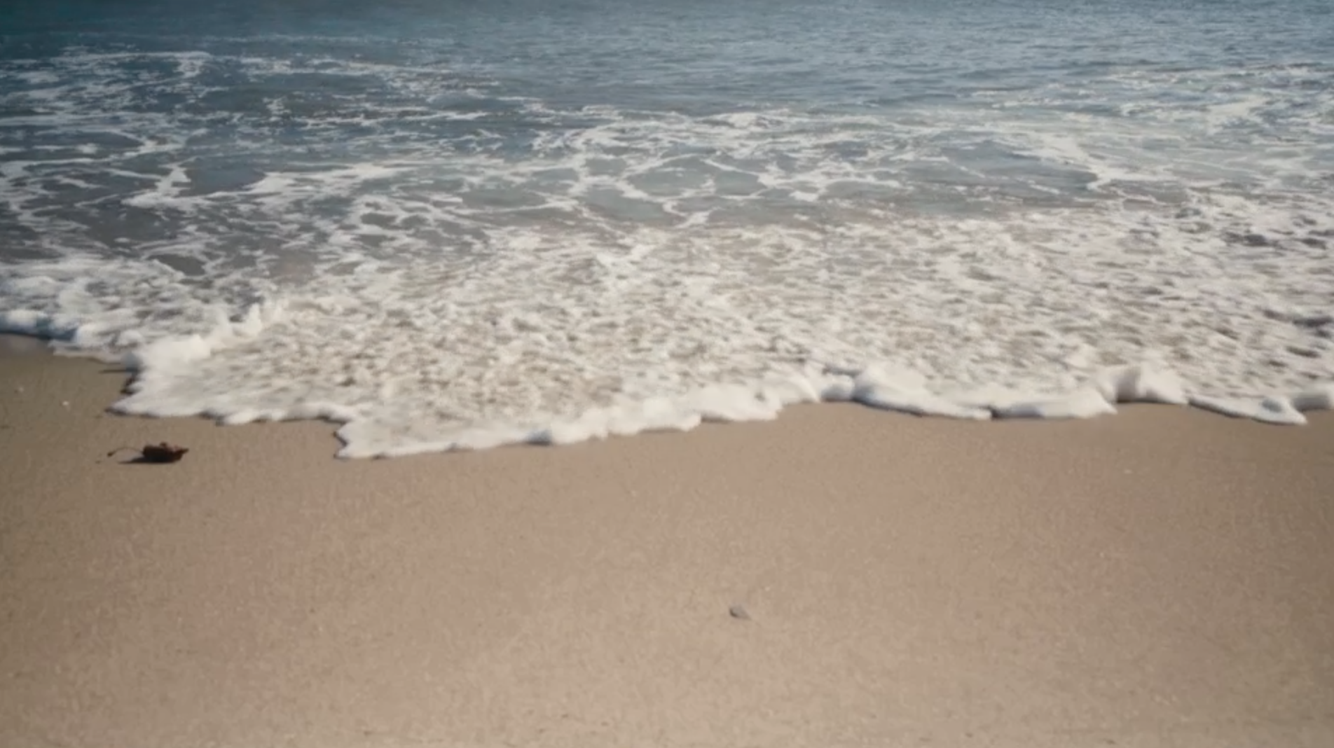 Screen Shot 2018-01-16 at 11.29.49 AM.png