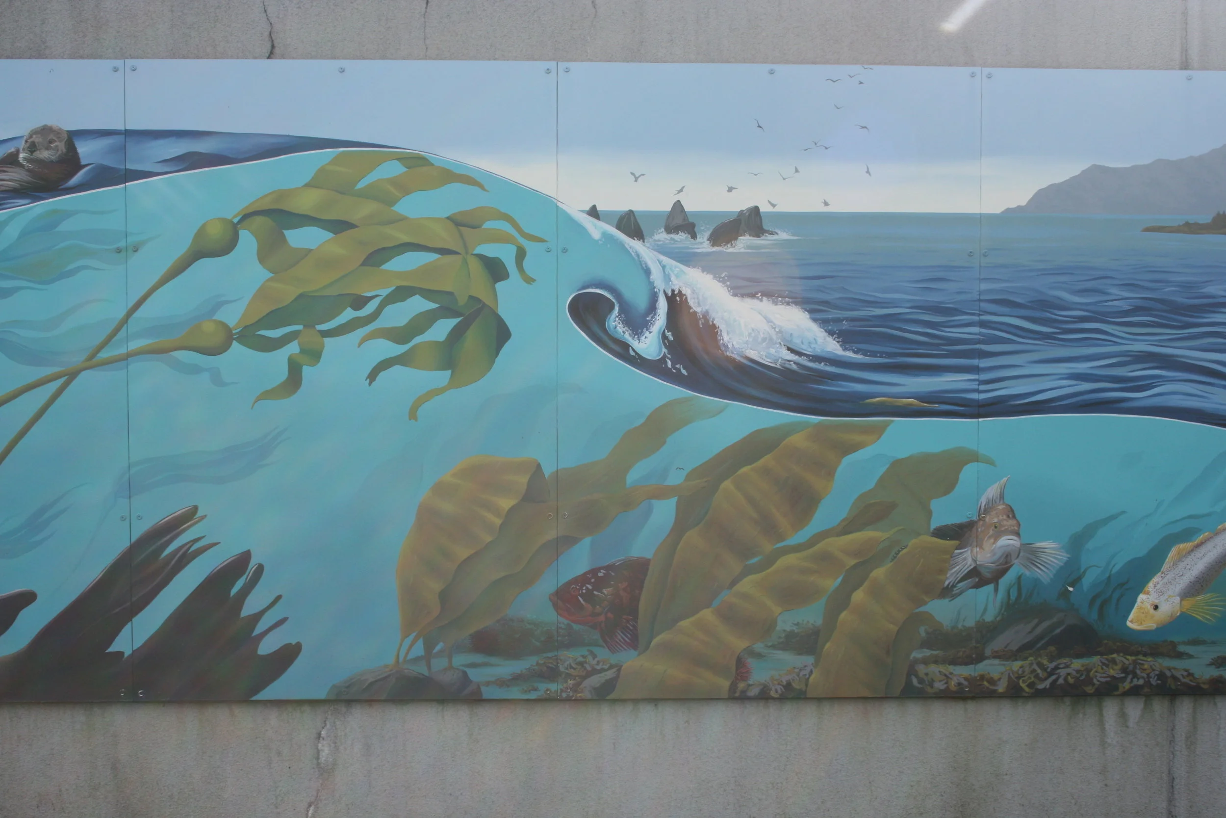 Window on the Bay2012Alaska Sealife CenterSeward, AK