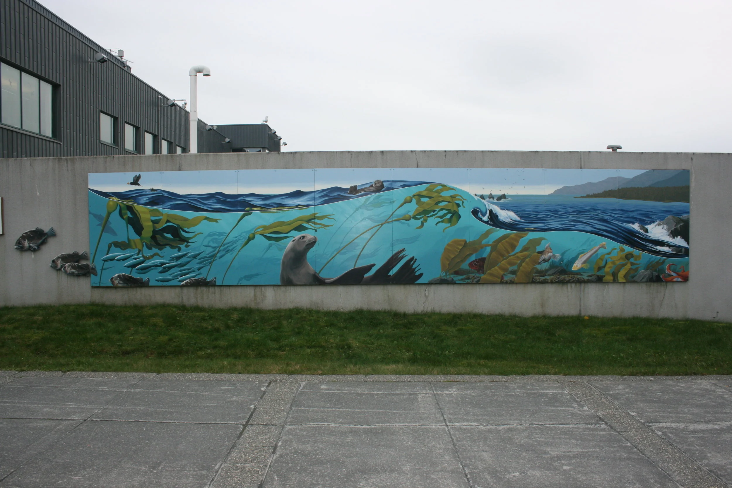 Window on the Bay2012Alaska Sealife CenterSeward, AK