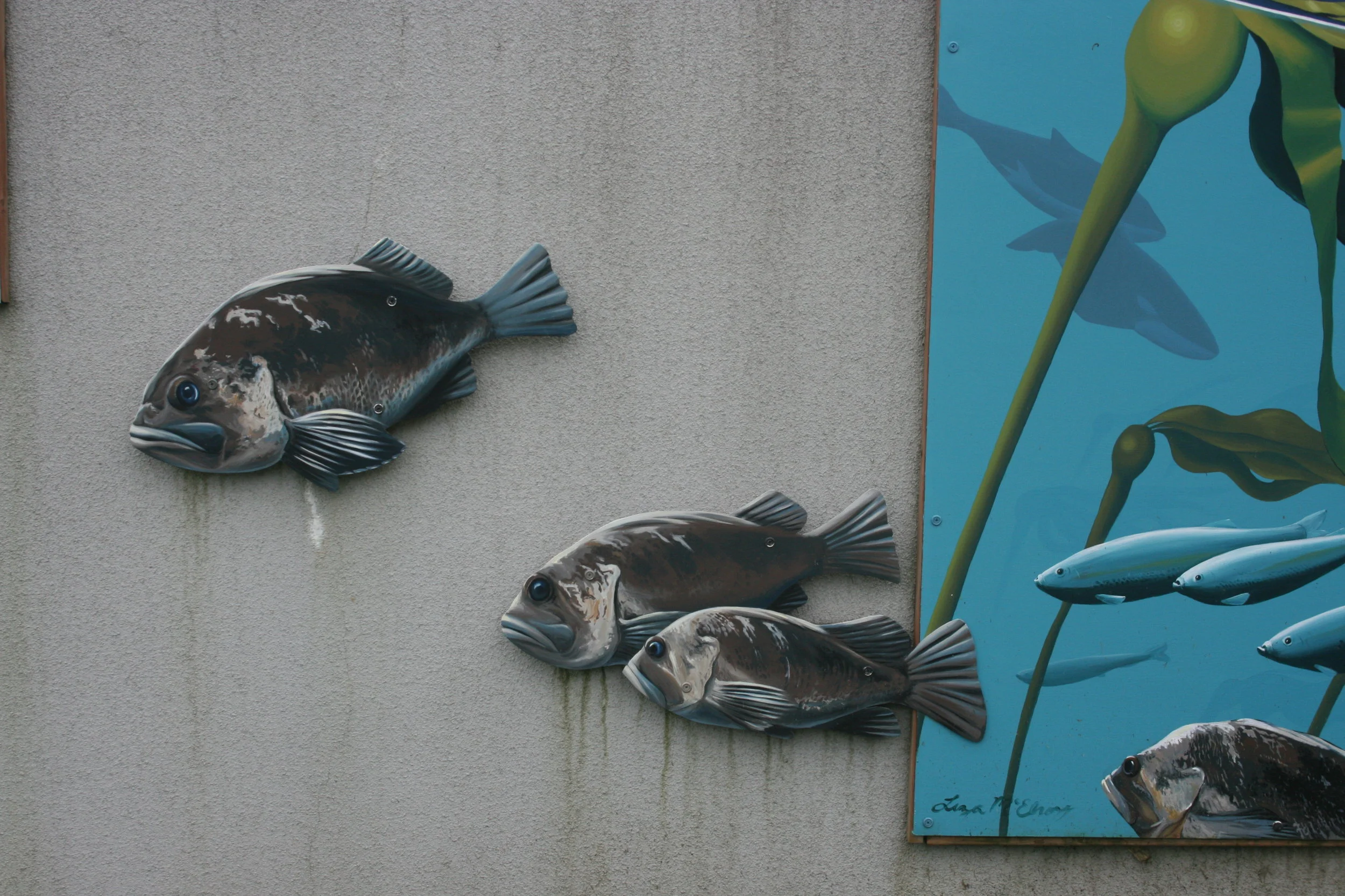 Window on the Bay2012Alaska Sealife CenterSeward, AK