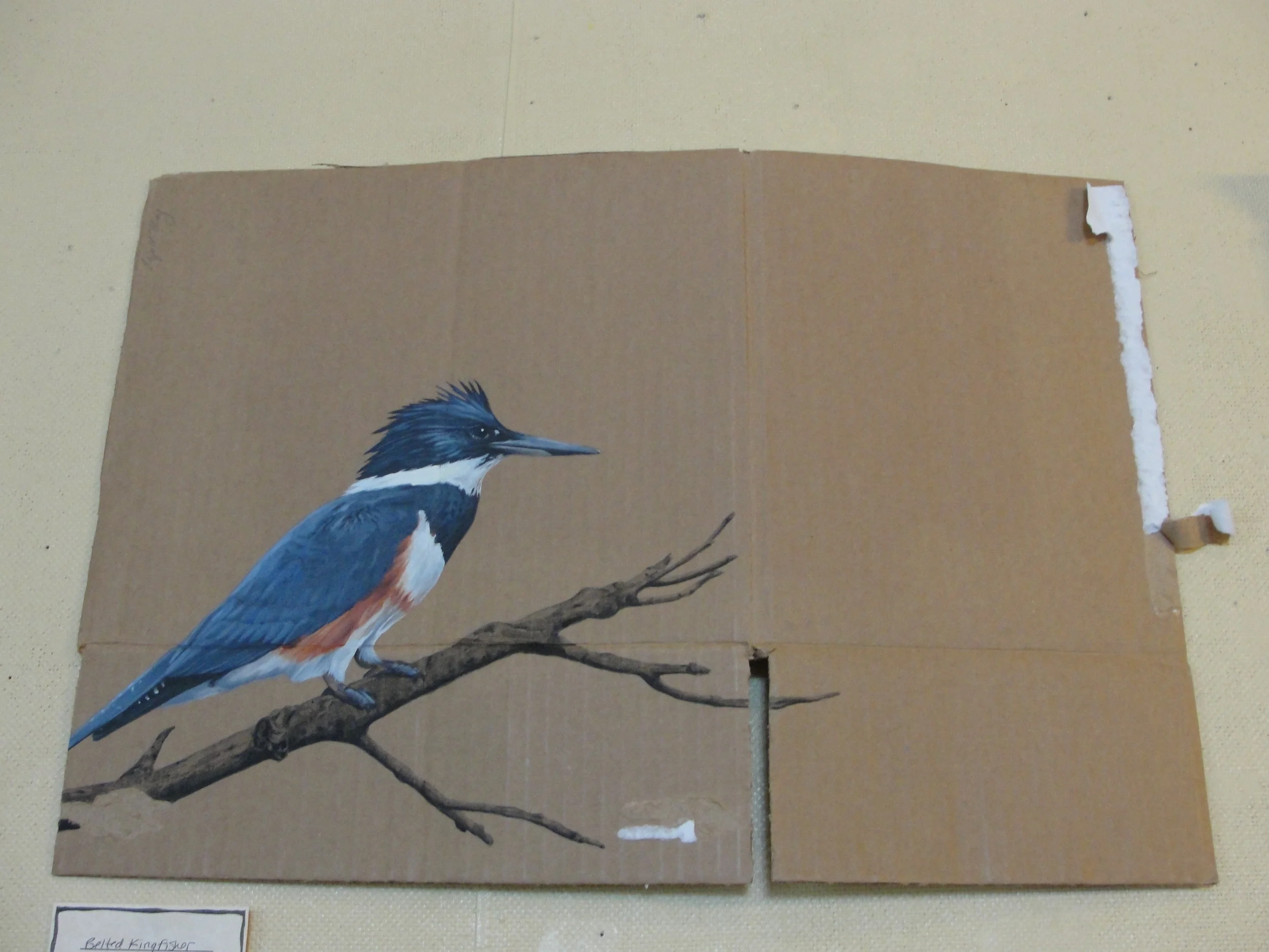 Belted Kingfisher2012Acrylic