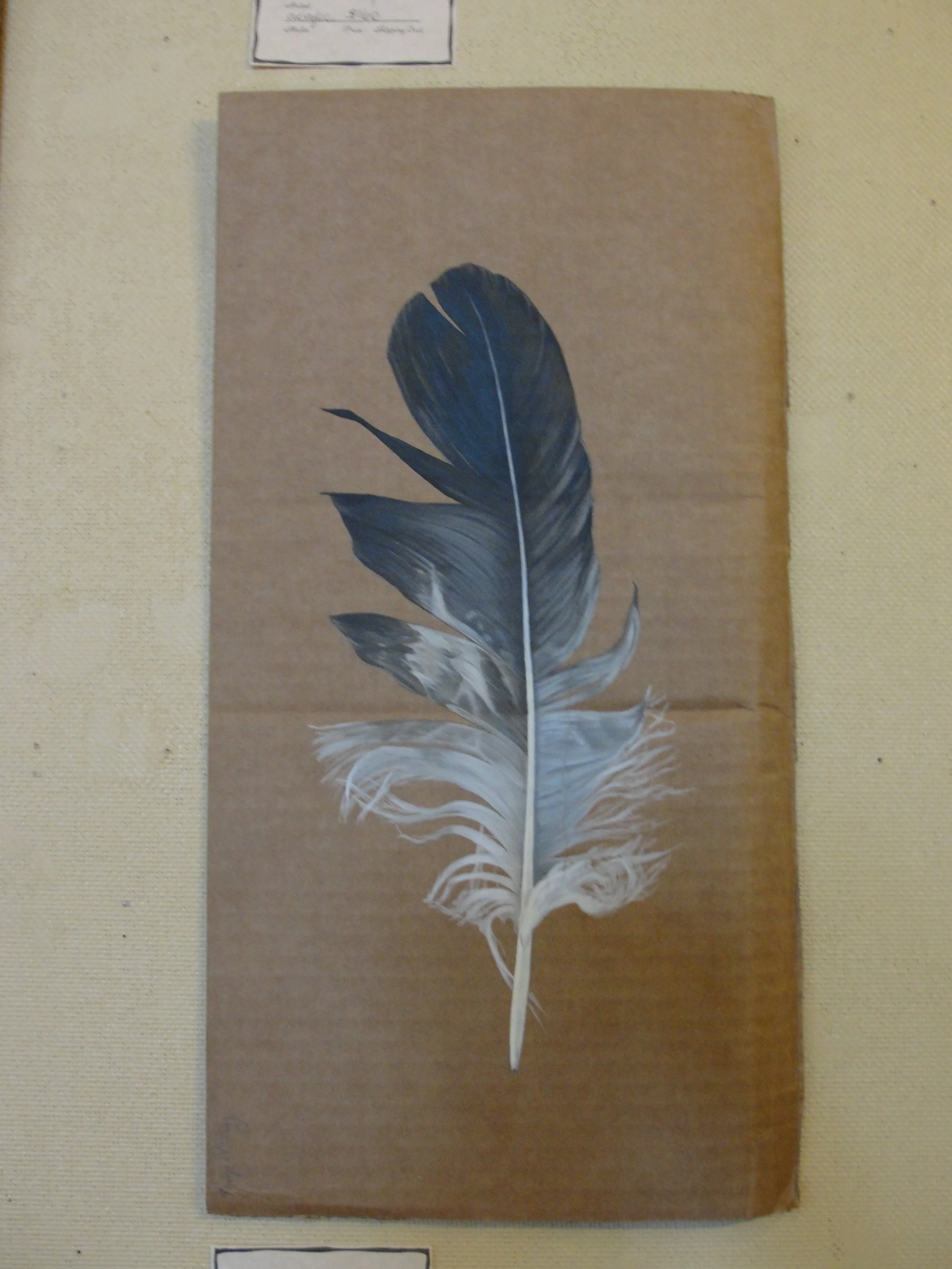 Feather2012Acrylic