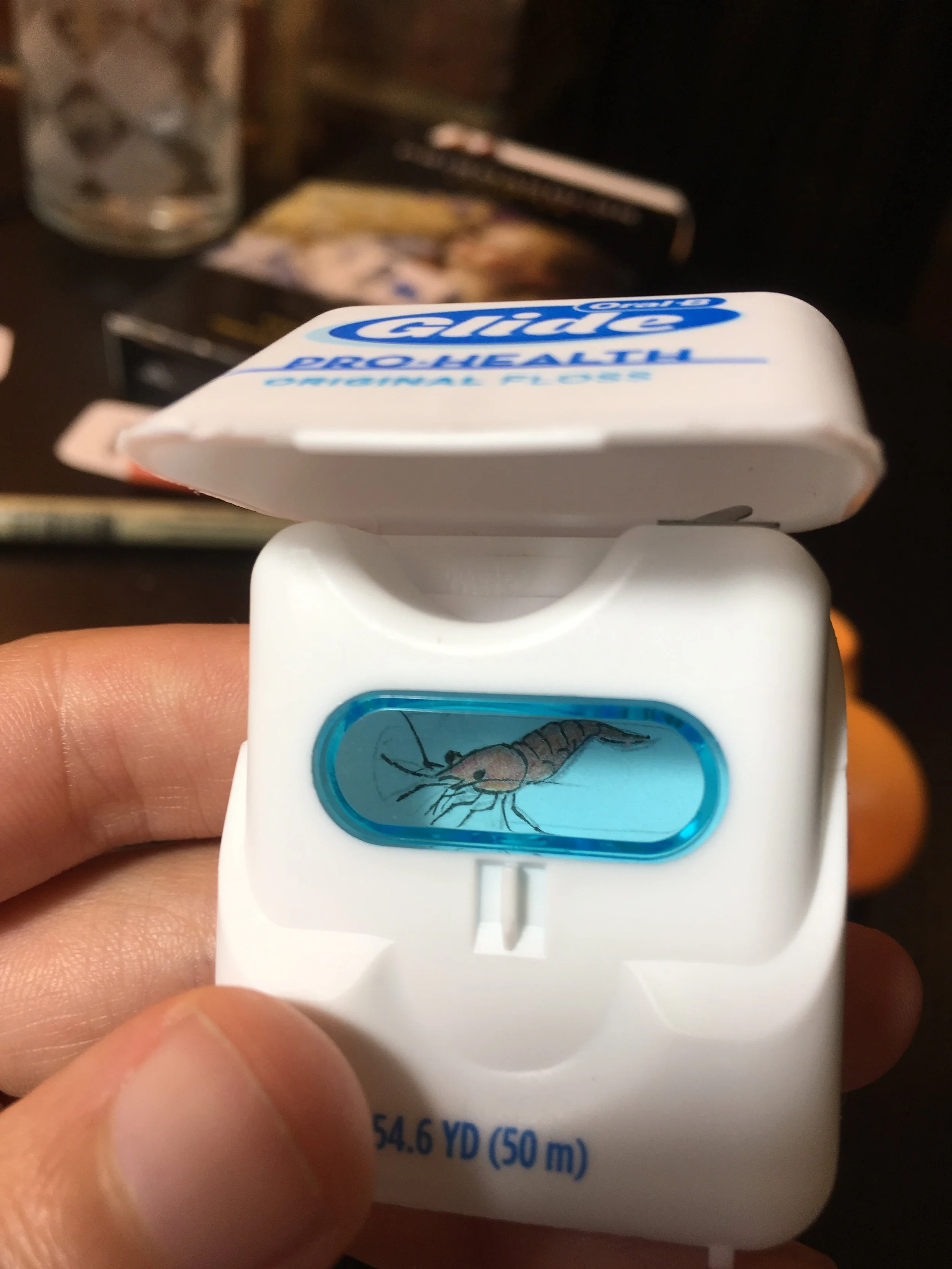 Floss Aquarium<br>2017<br>Mixed Media