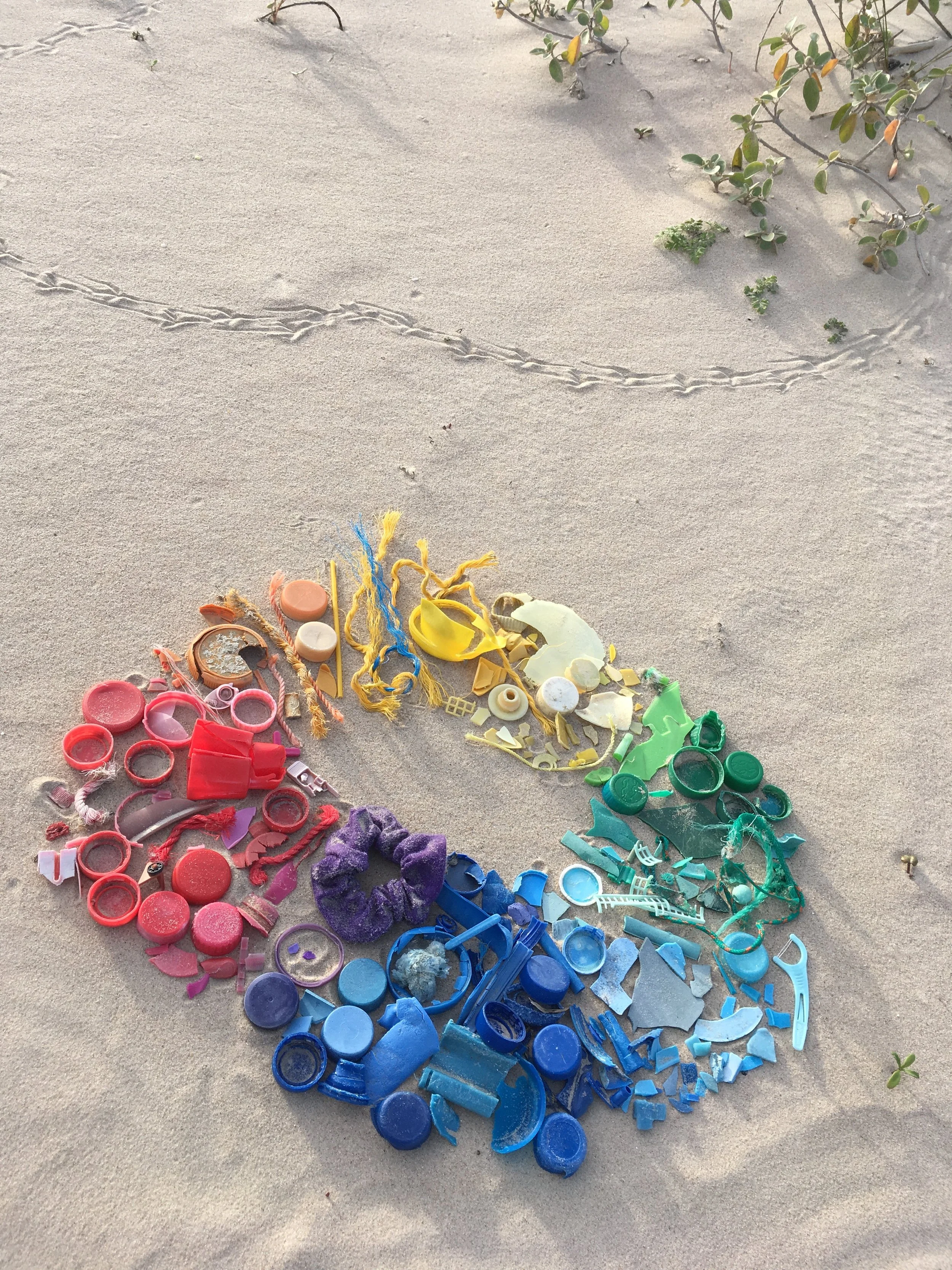 Beach Trash Color Wheel 2018 Gulf of Mexico