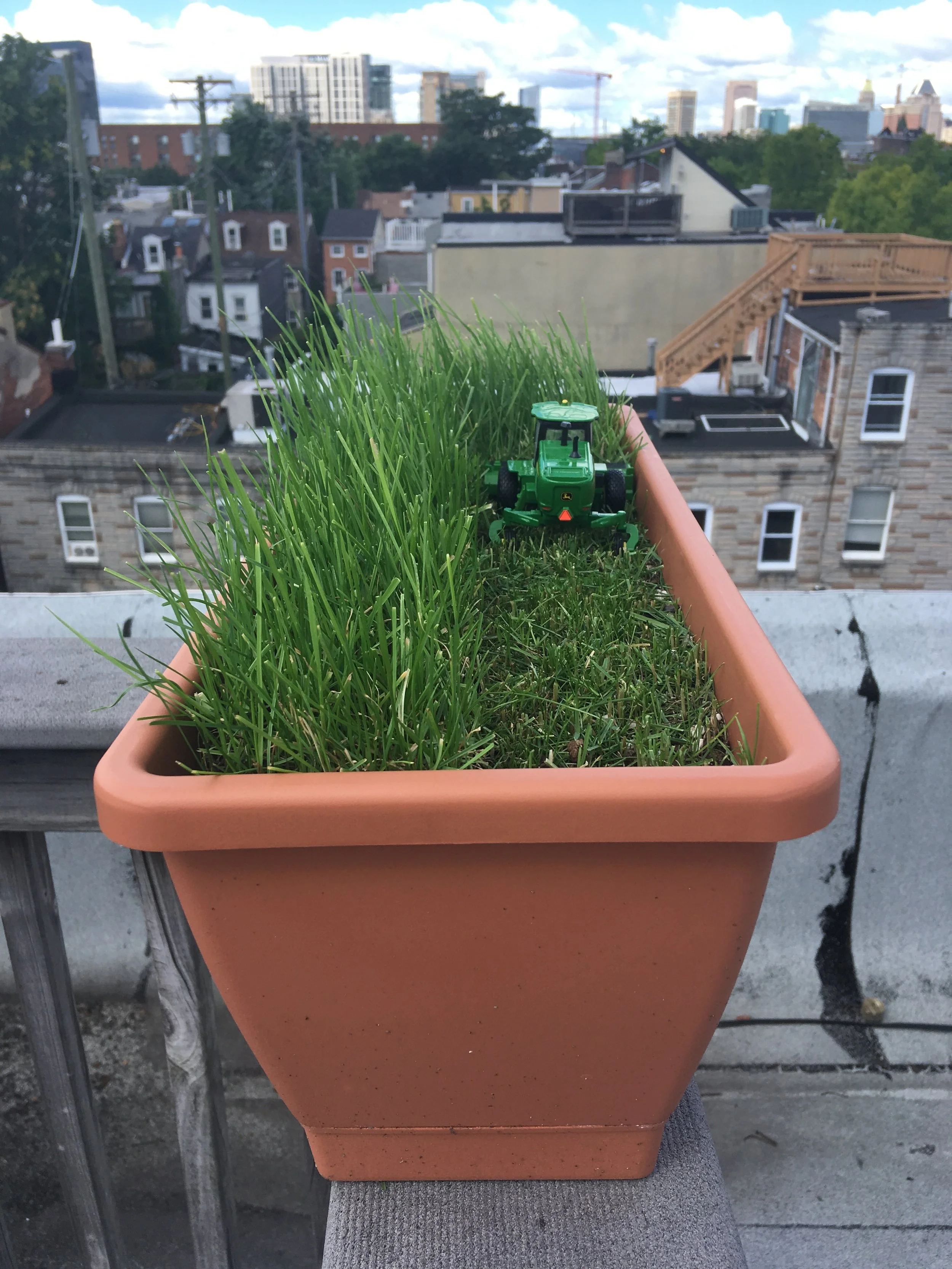 Flower Box Field (No, the tractor is not driving backwards. That's how windrowers work) 2019 Grass and 1/64 scale John Deere W260 Windrower