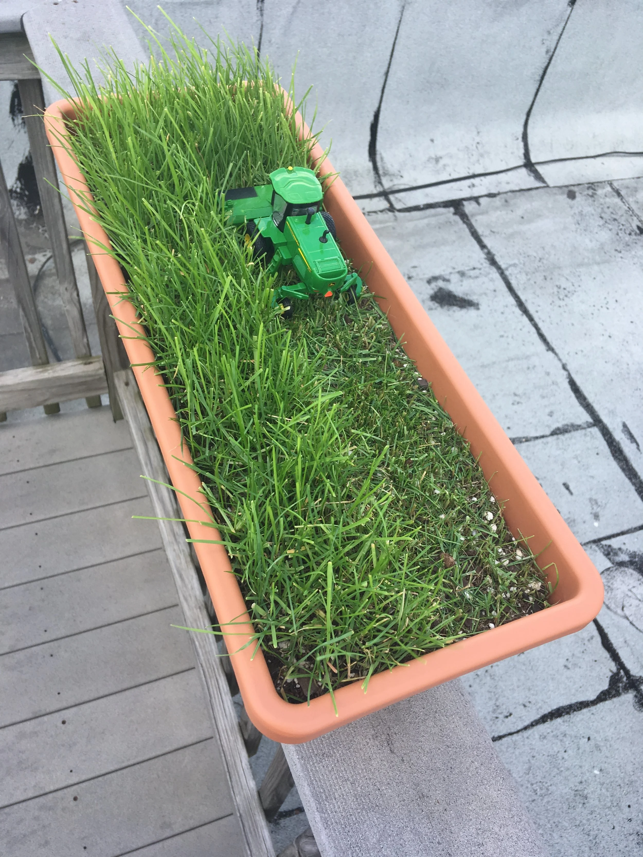 Flower Box Field (No, the tractor is not driving backwards. That's how windrowers work) 2019 Grass and 1/64 scale John Deere W260 Windrower