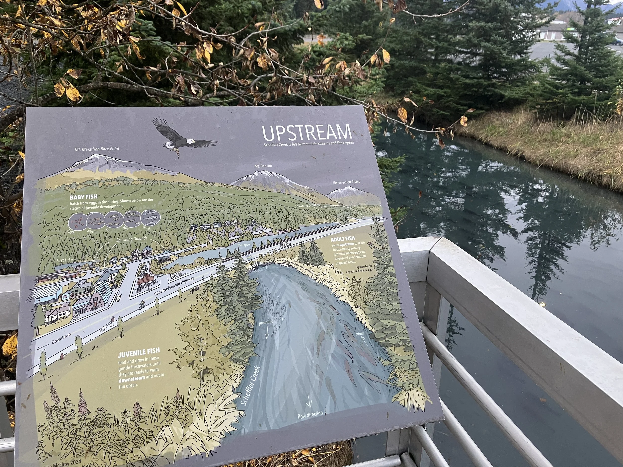 Scheffler Creek Overlook (Upstream) 2024 Photoshop and Illustrator (See Salmon in creek!)